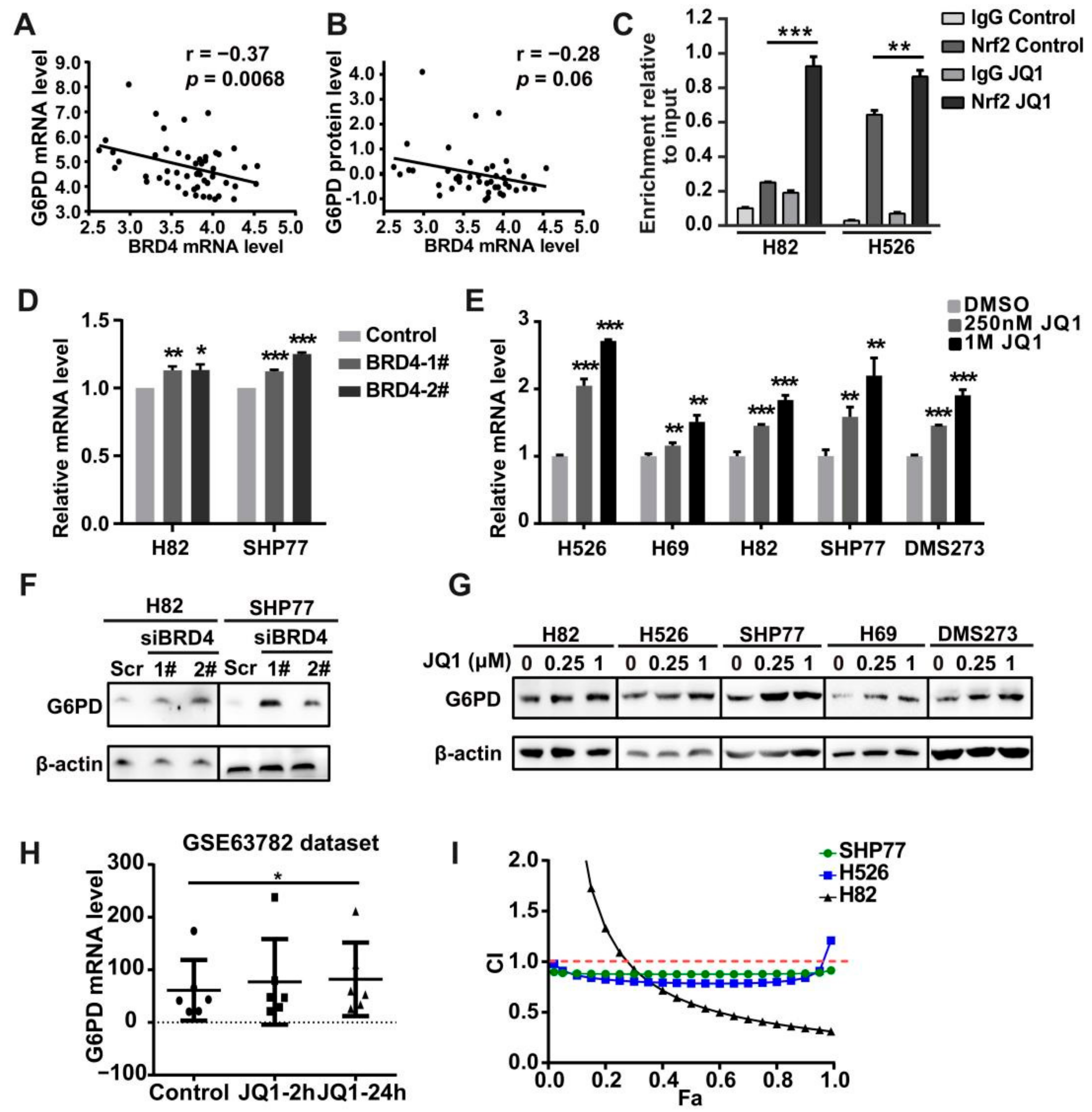 Antioxidants 11 00661 g005 Antioxidants 11 00661 g005