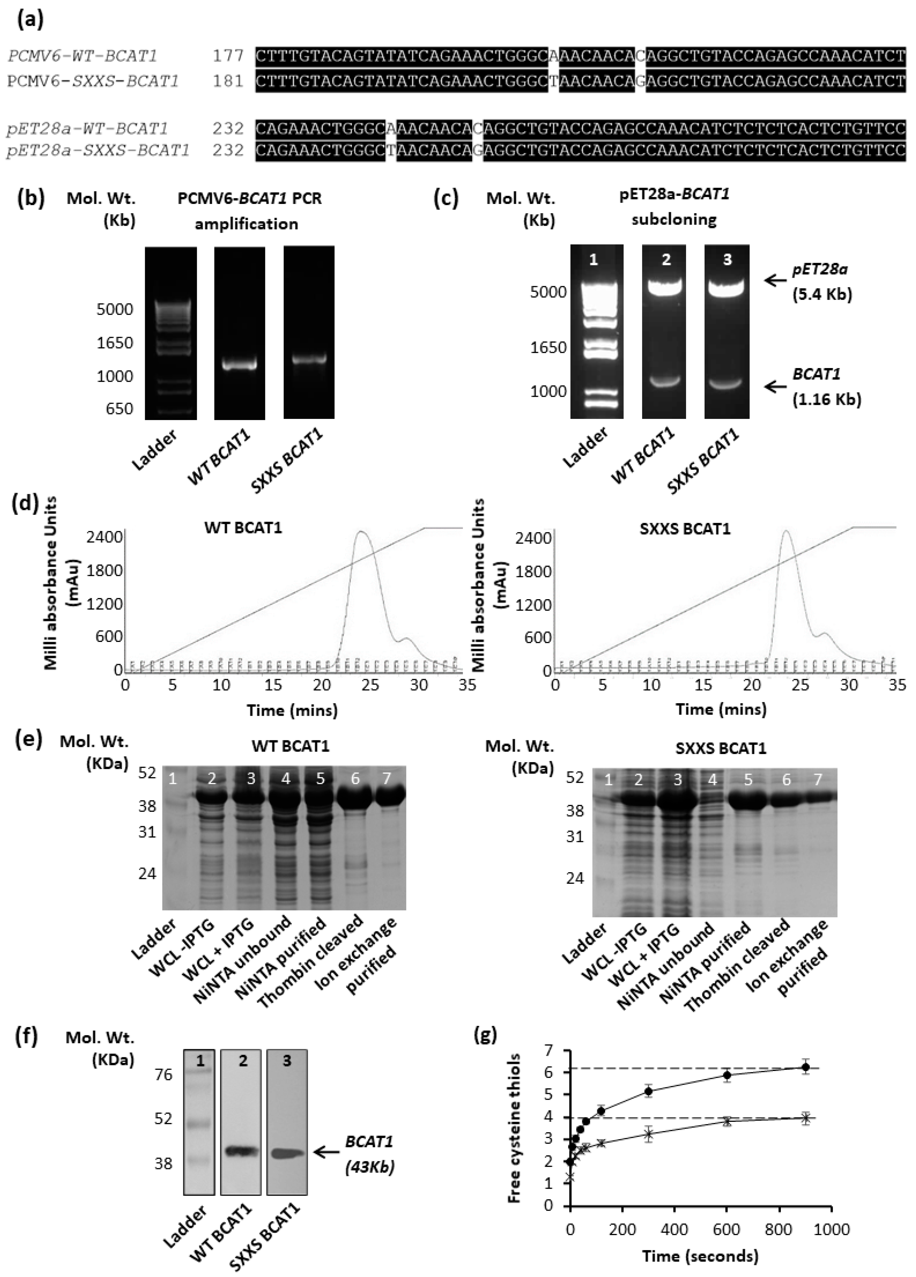 Antioxidants 11 00683 g001