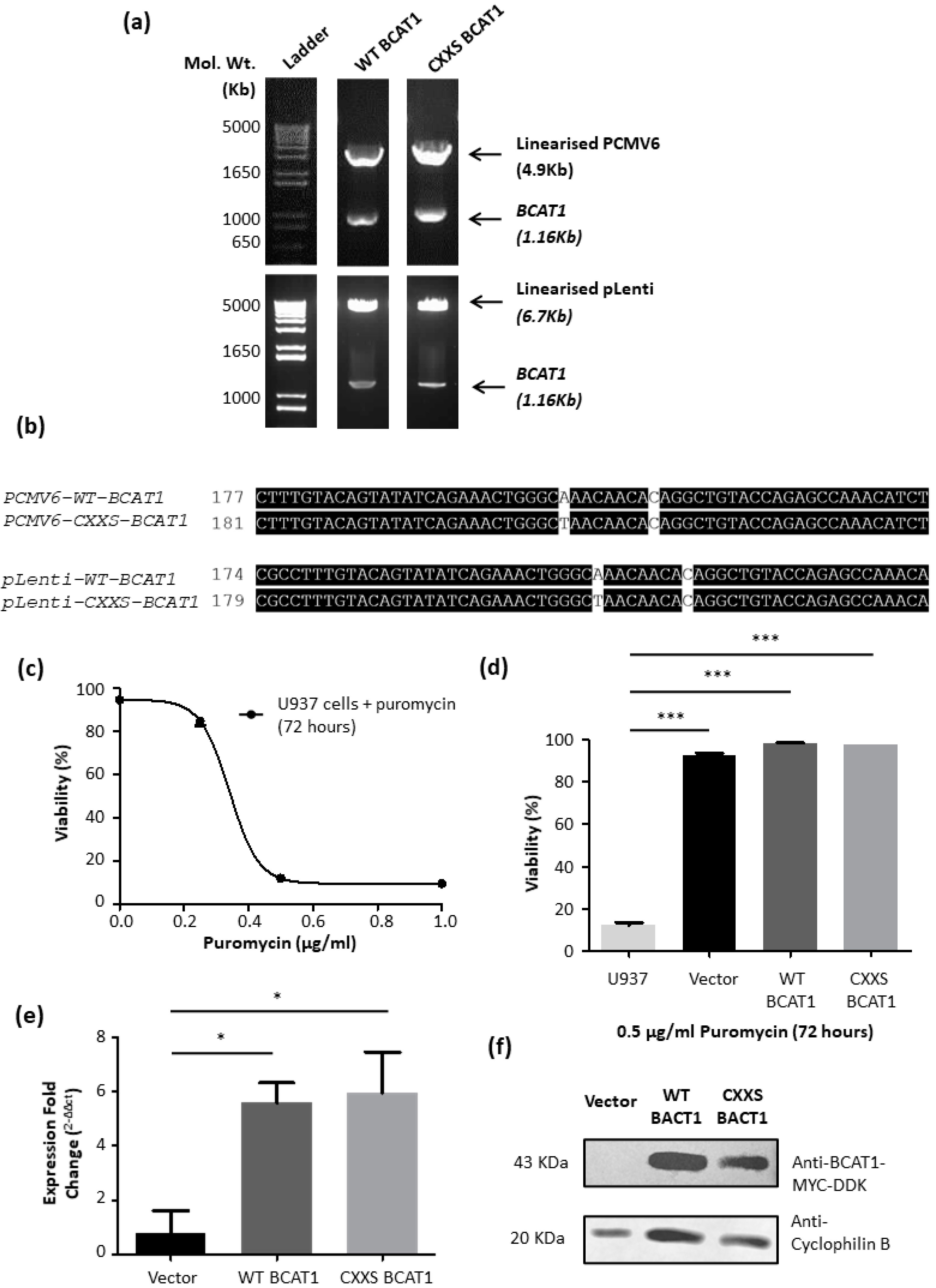 Antioxidants 11 00683 g003