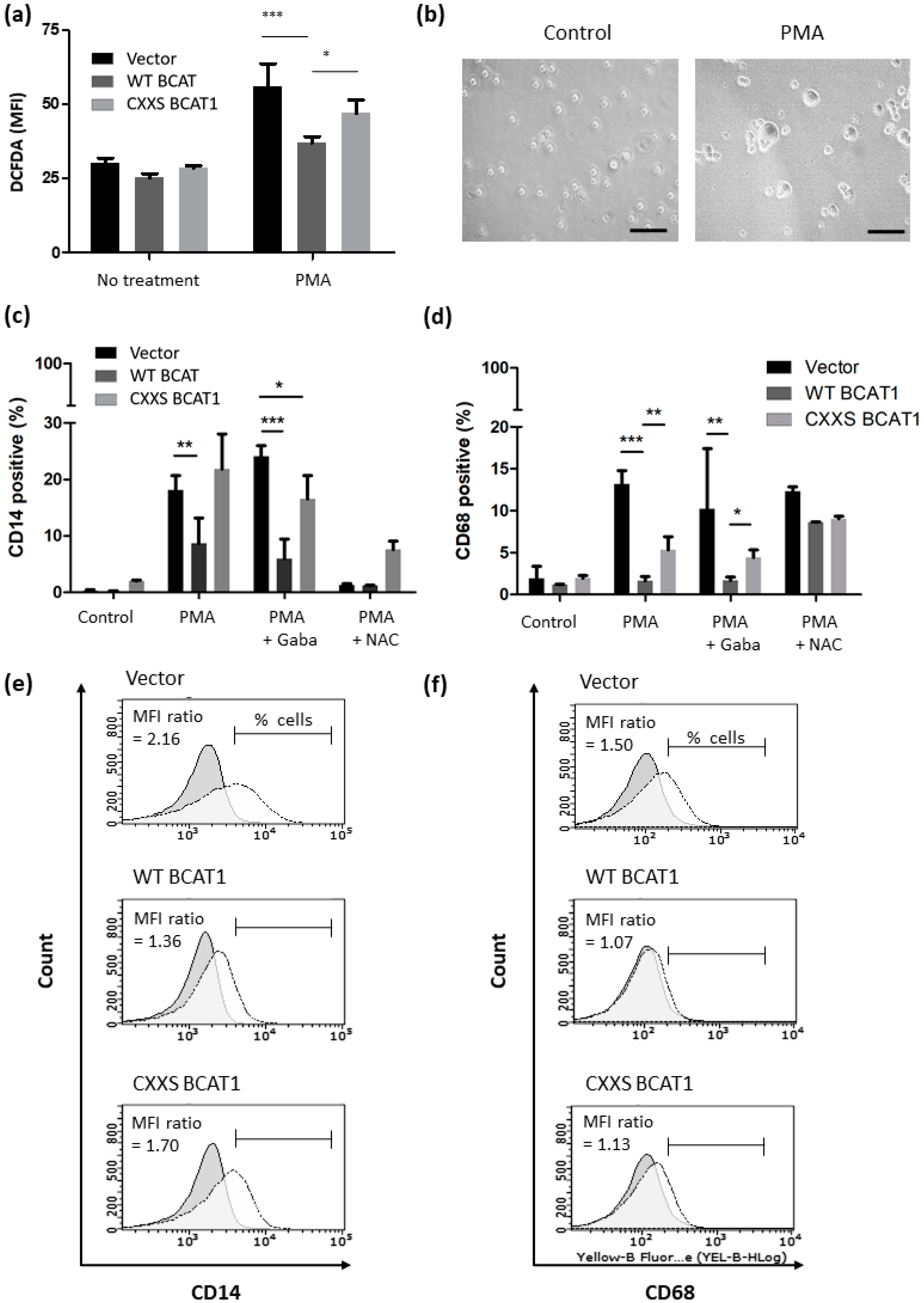 Antioxidants 11 00683 g007