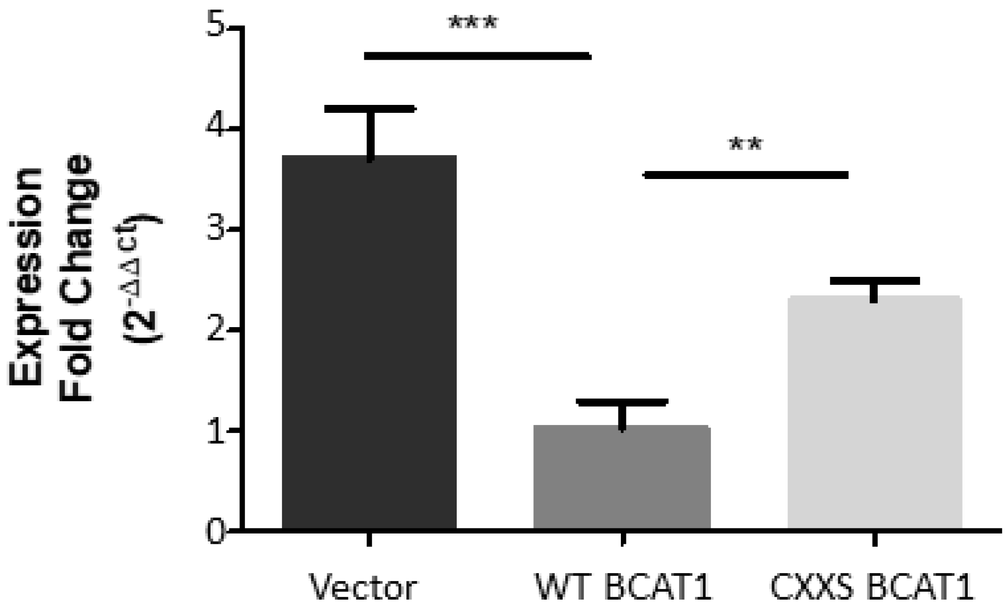 Antioxidants 11 00683 g009