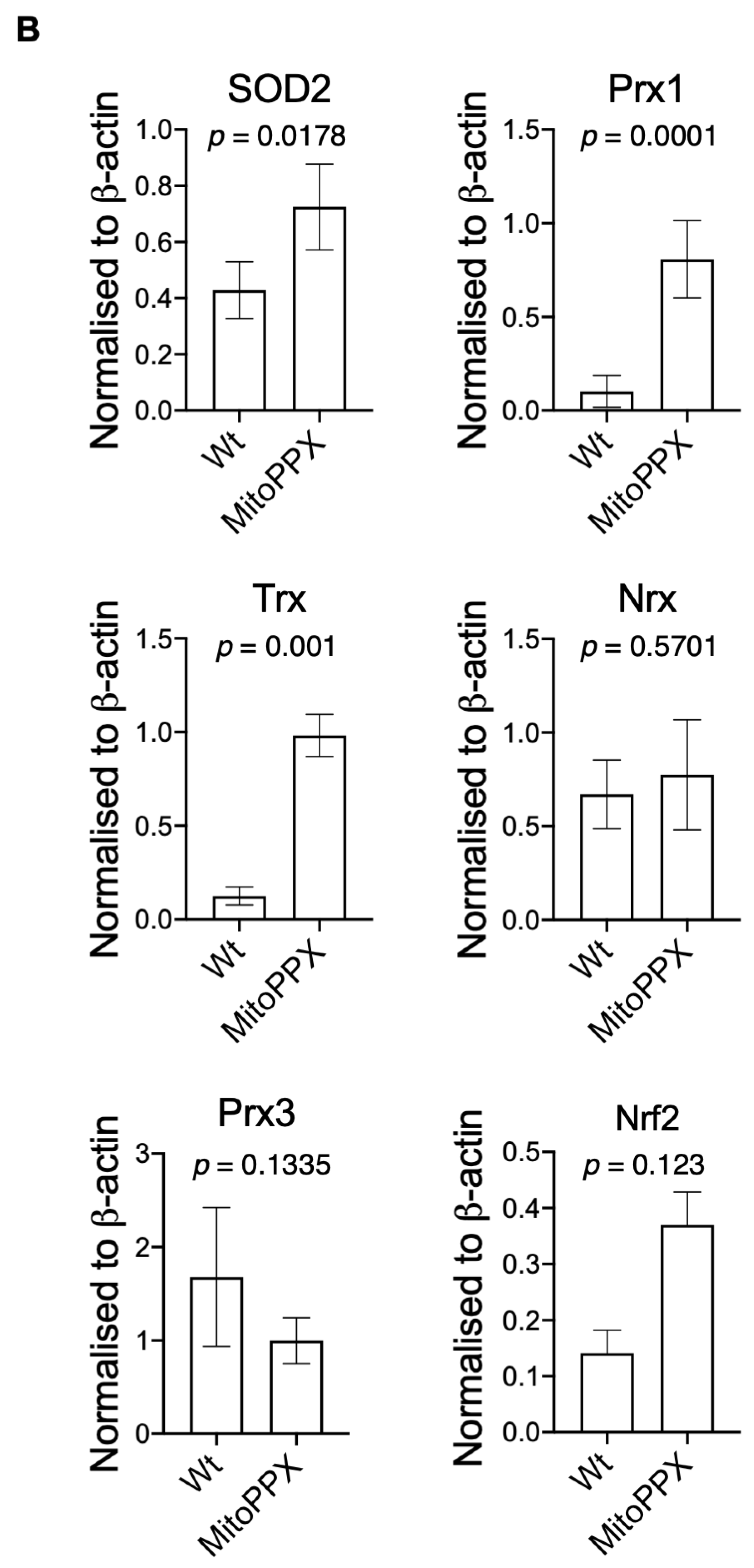 Antioxidants 11 00685 g003b