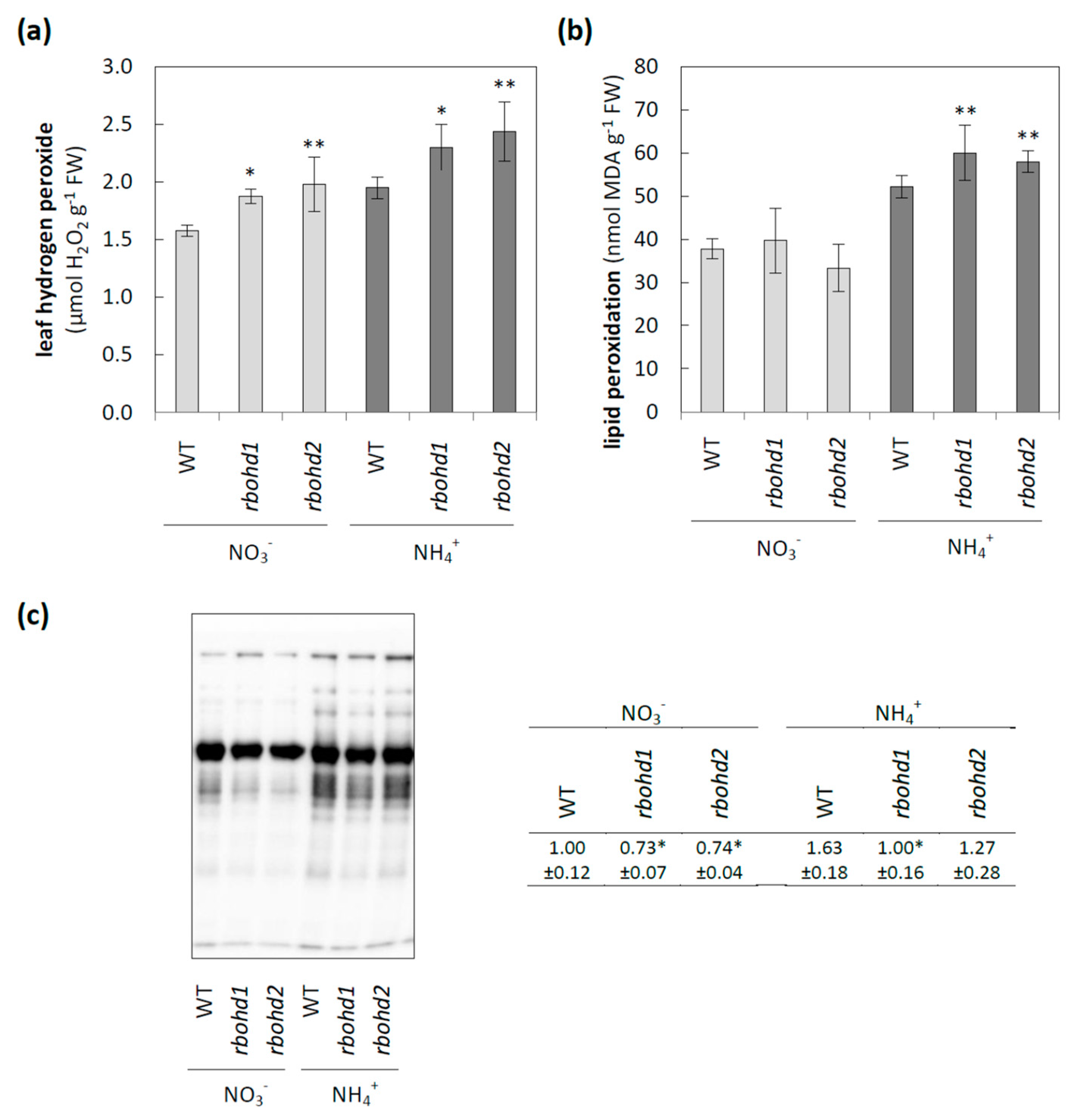 Antioxidants 11 00703 g002