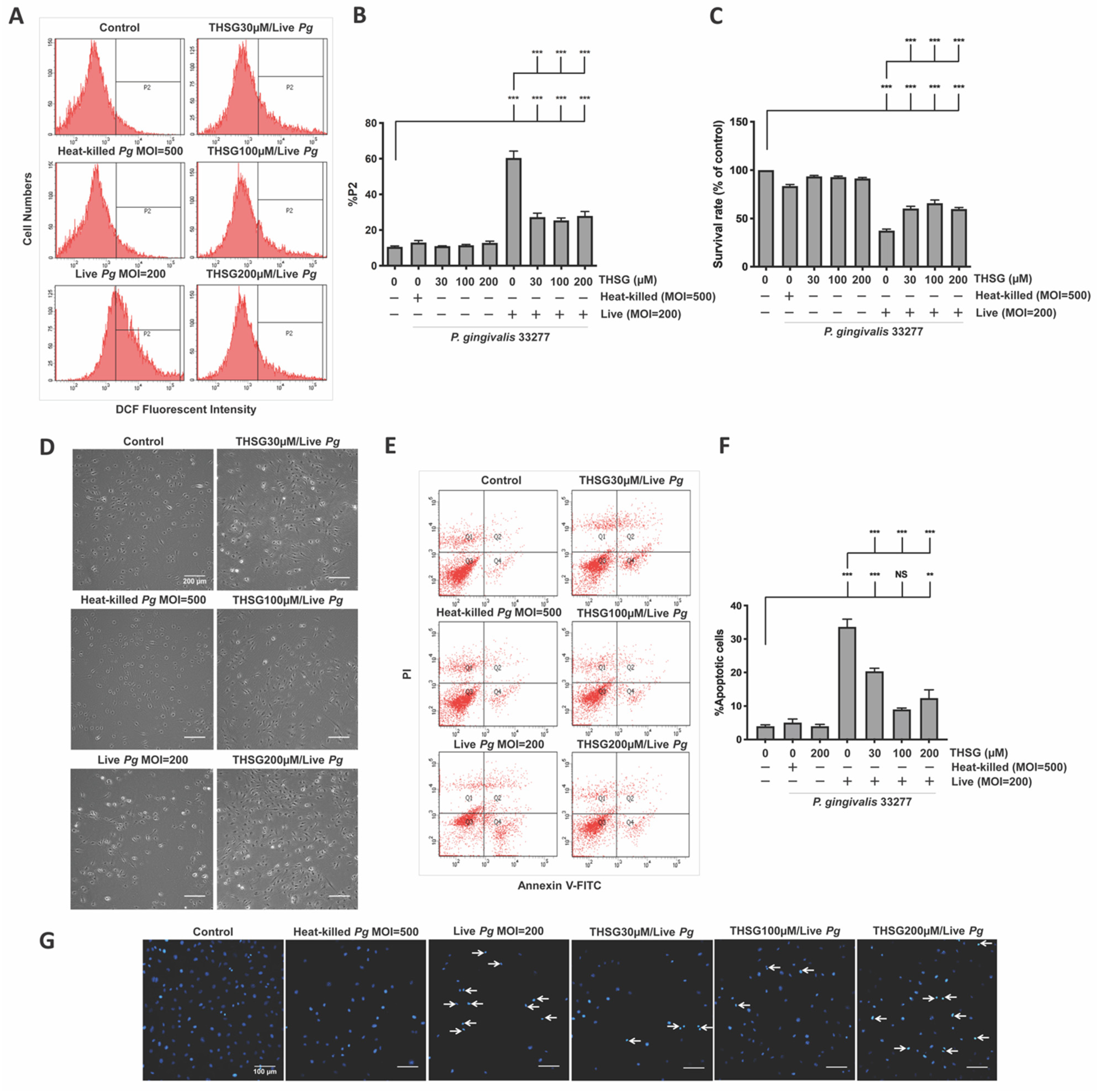 Antioxidants 11 00740 g001 Antioxidants 11 00740 g001
