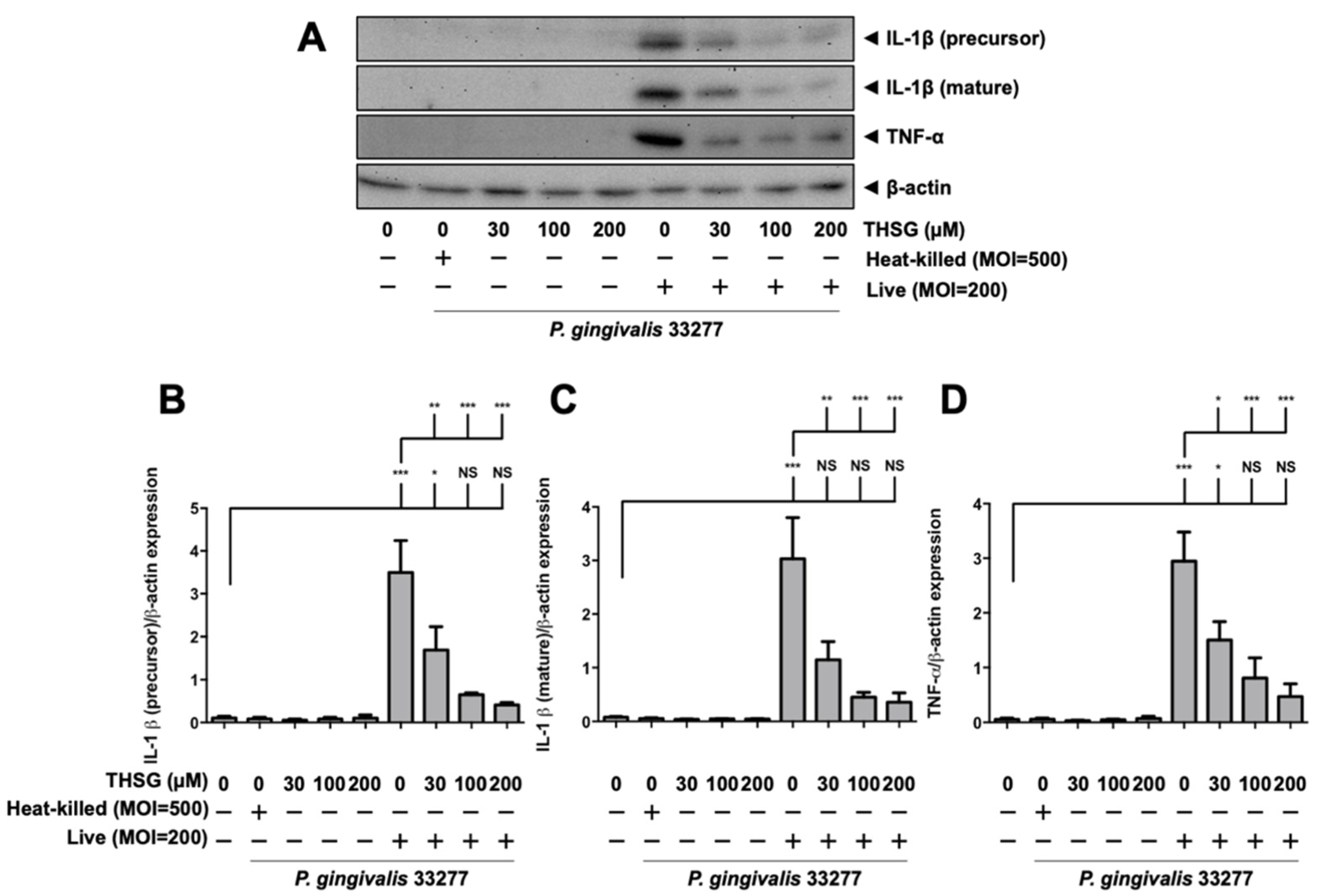 Antioxidants 11 00740 g002 Antioxidants 11 00740 g002