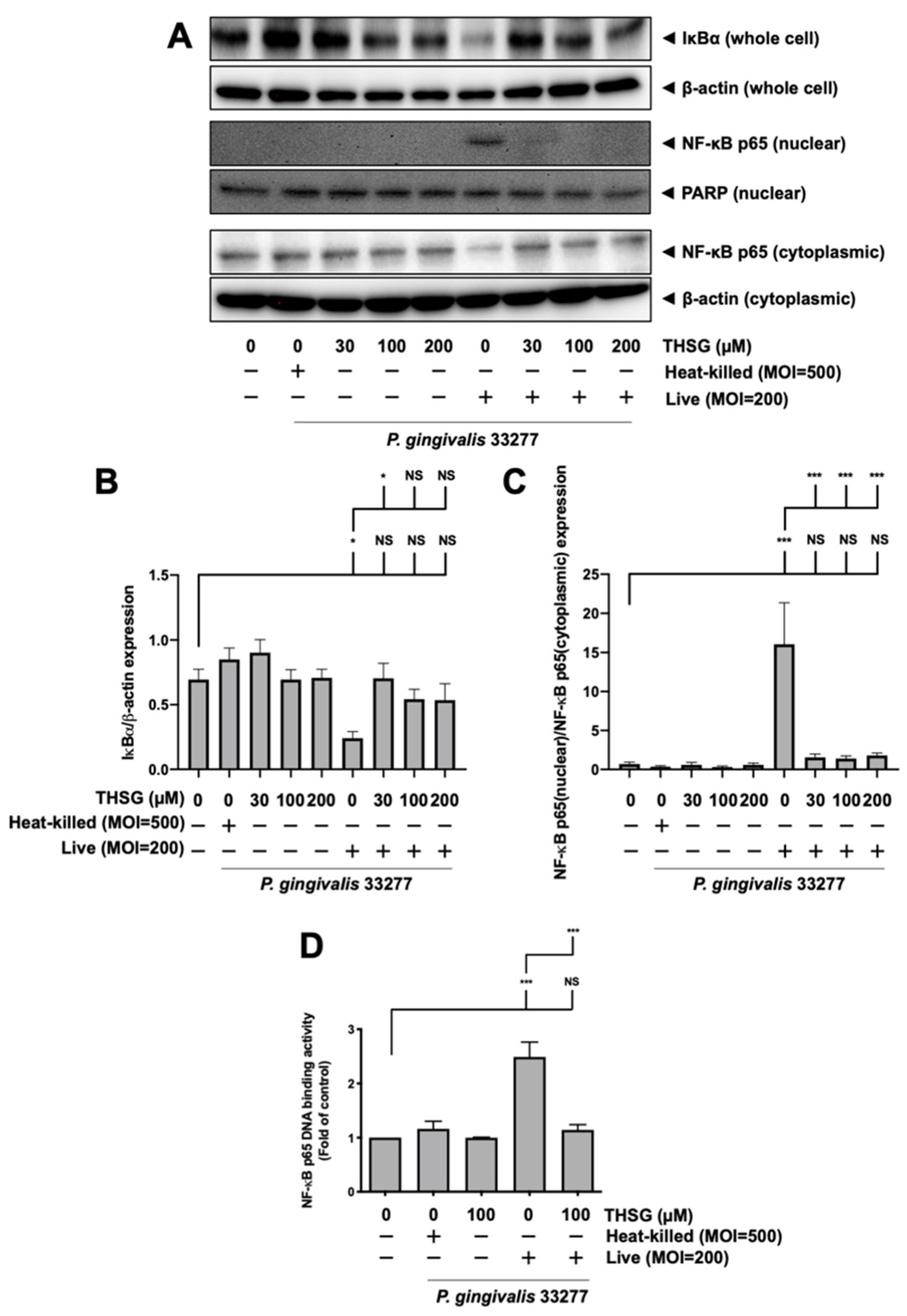 Antioxidants 11 00740 g003 Antioxidants 11 00740 g003