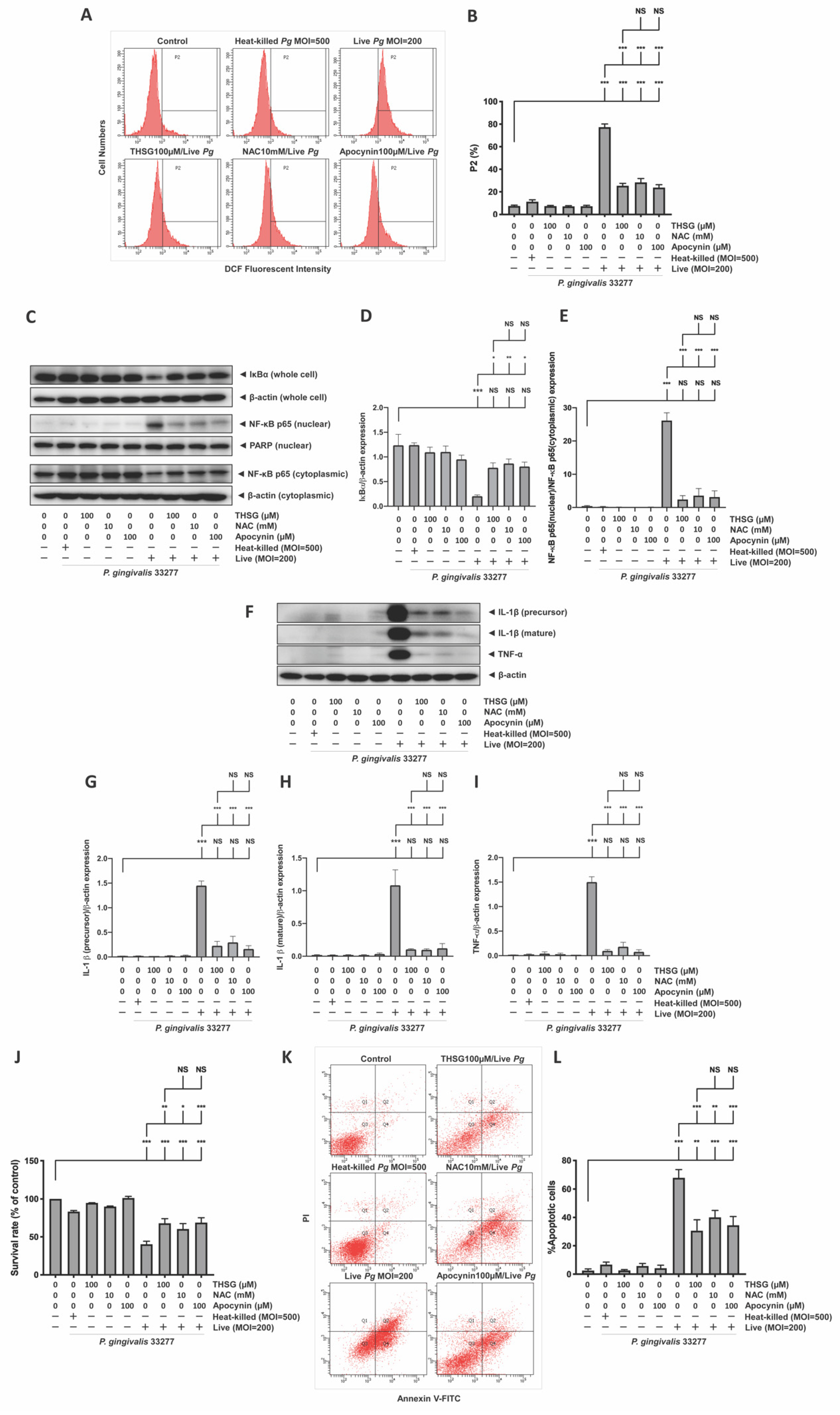 Antioxidants 11 00740 g004 Antioxidants 11 00740 g004