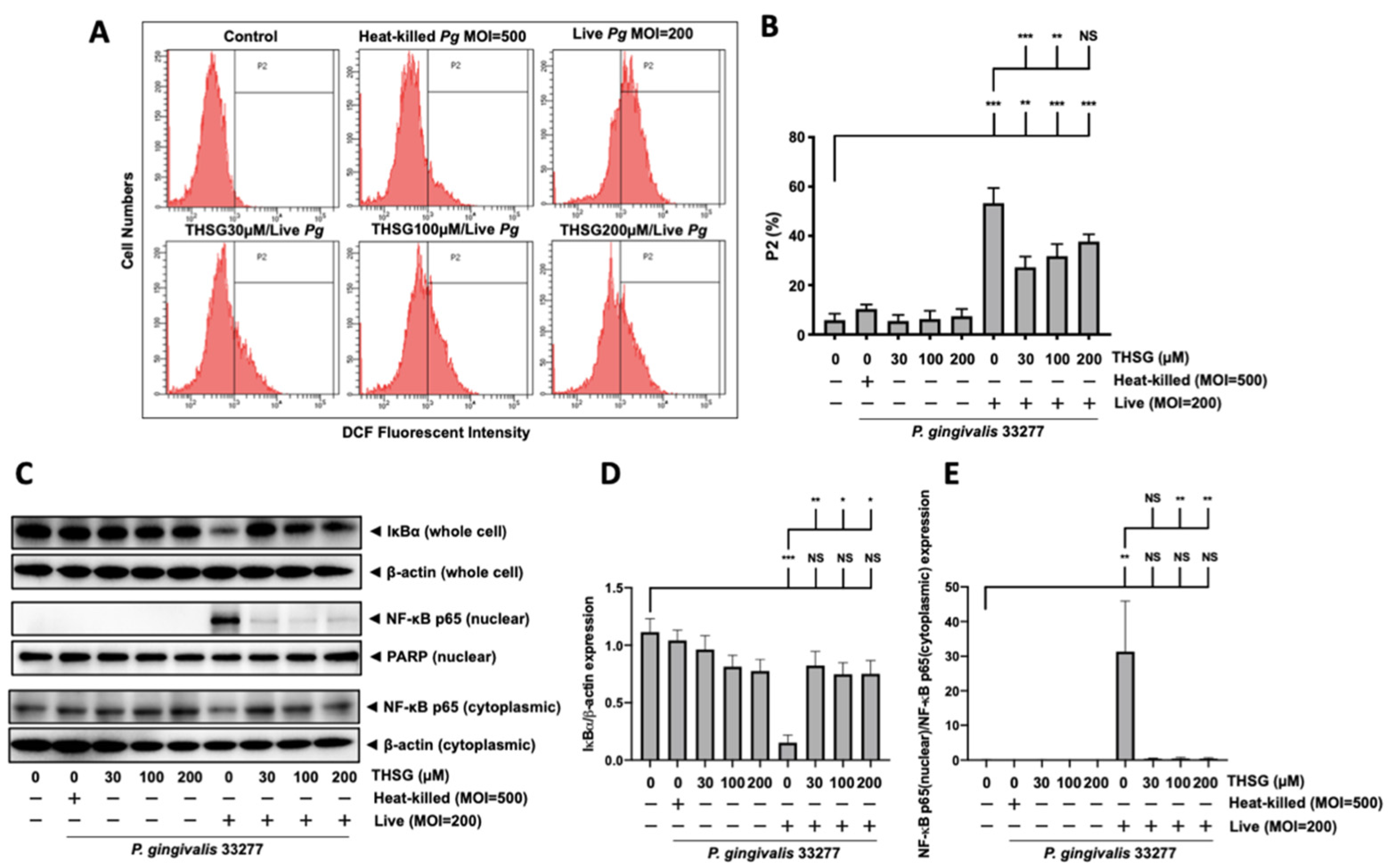 Antioxidants 11 00740 g006 Antioxidants 11 00740 g006