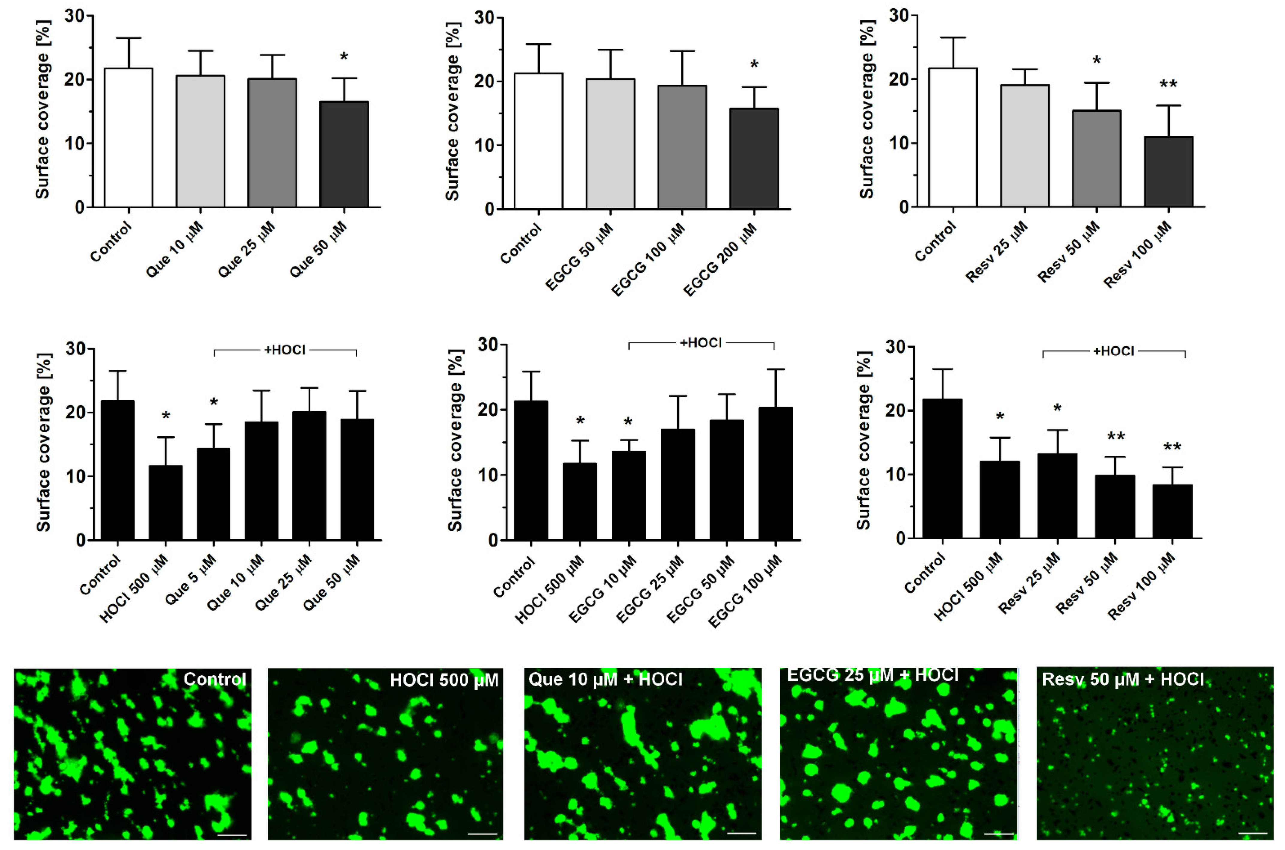 Antioxidants 11 00779 g002