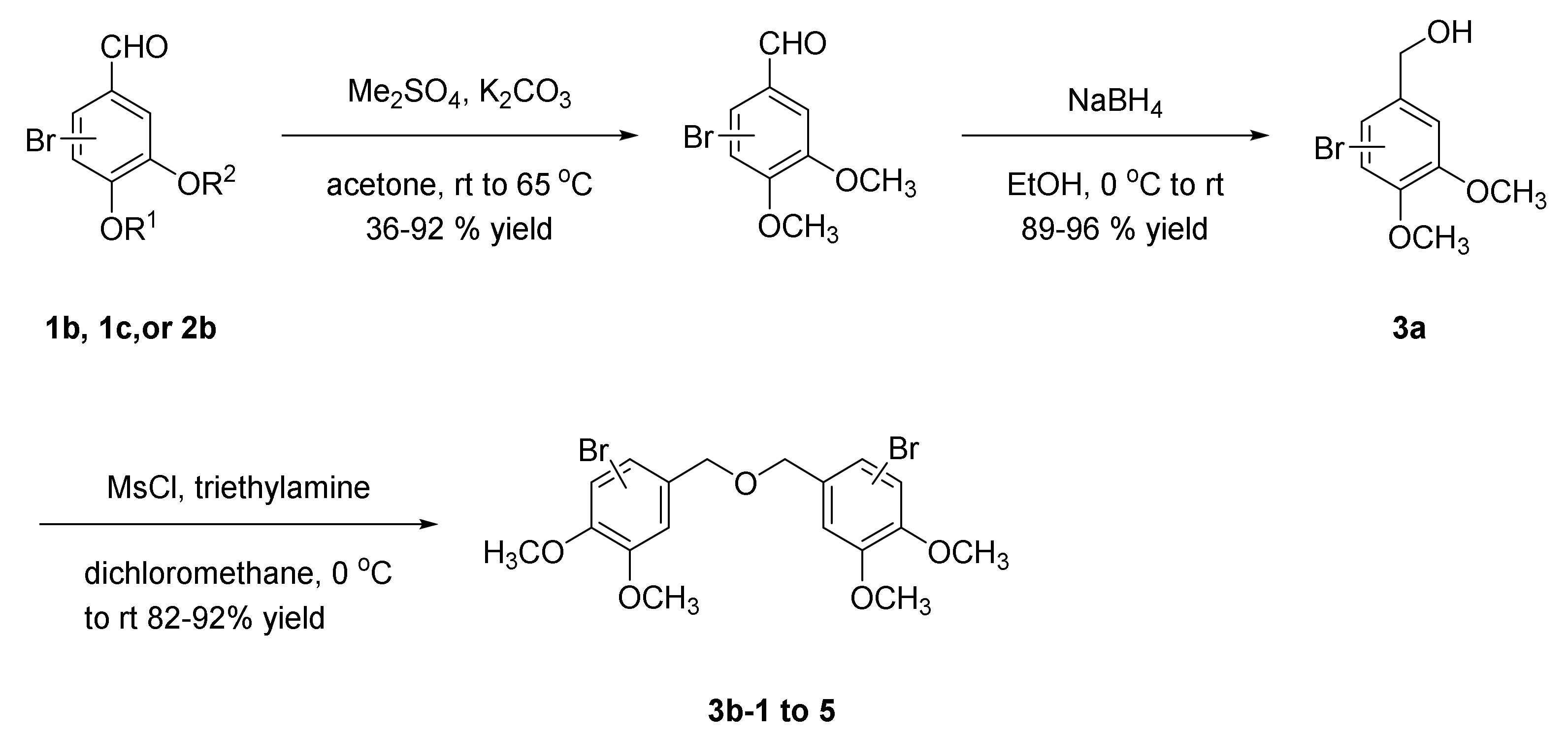 Antioxidants 11 00786 sch003