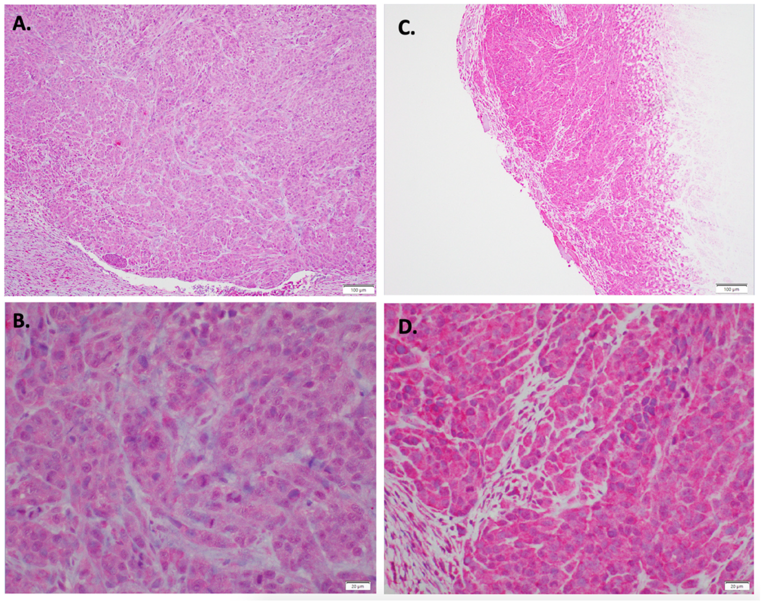 Antioxidants 11 00798 g005