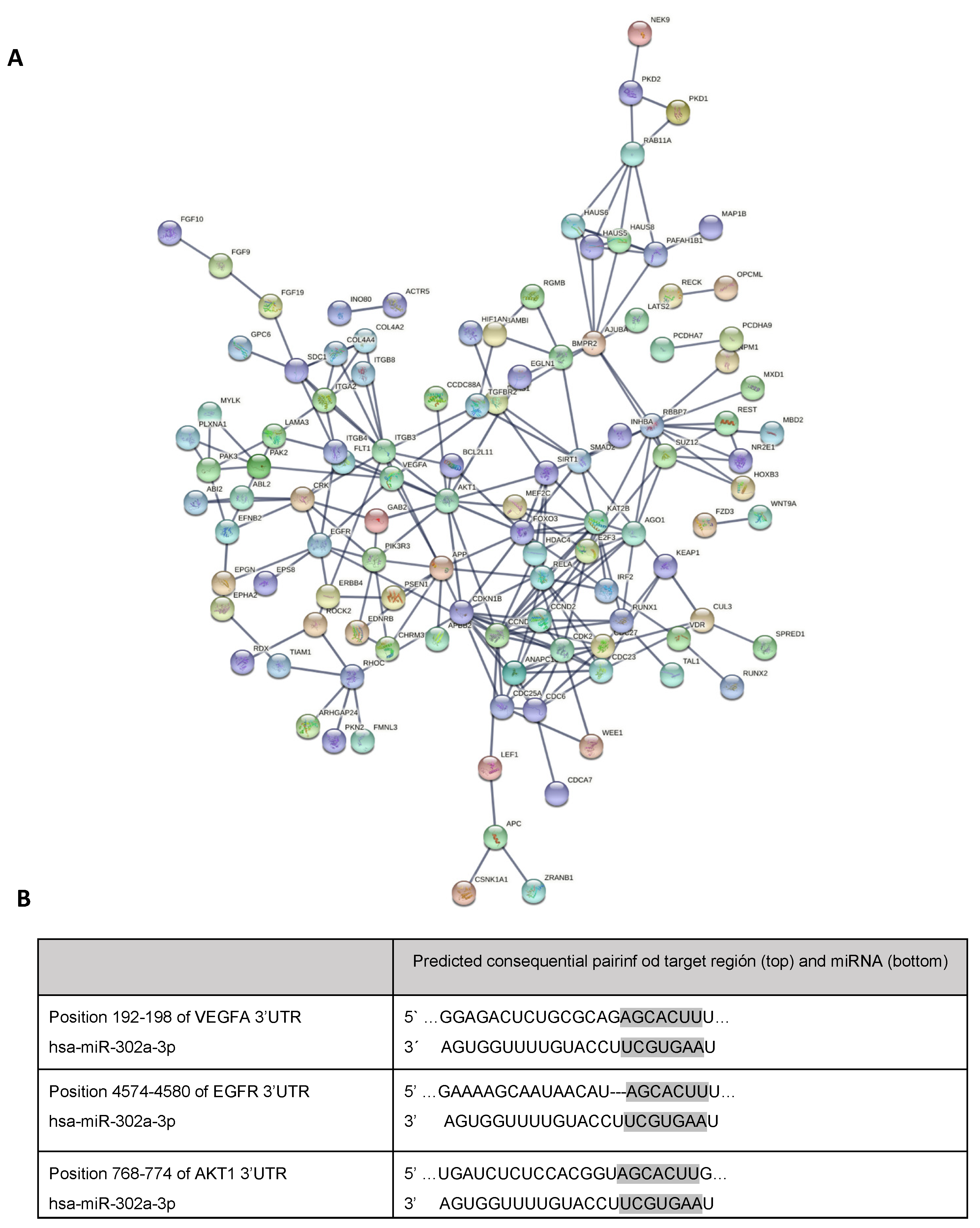 Antioxidants 11 00818 g004