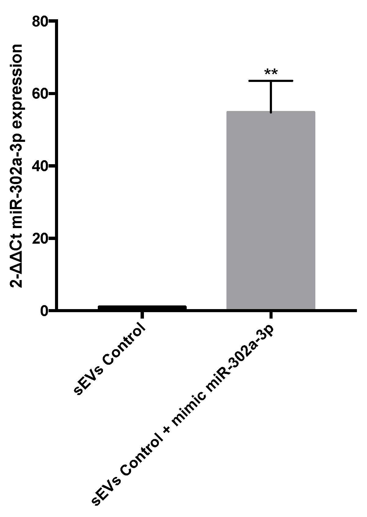 Antioxidants 11 00818 g008