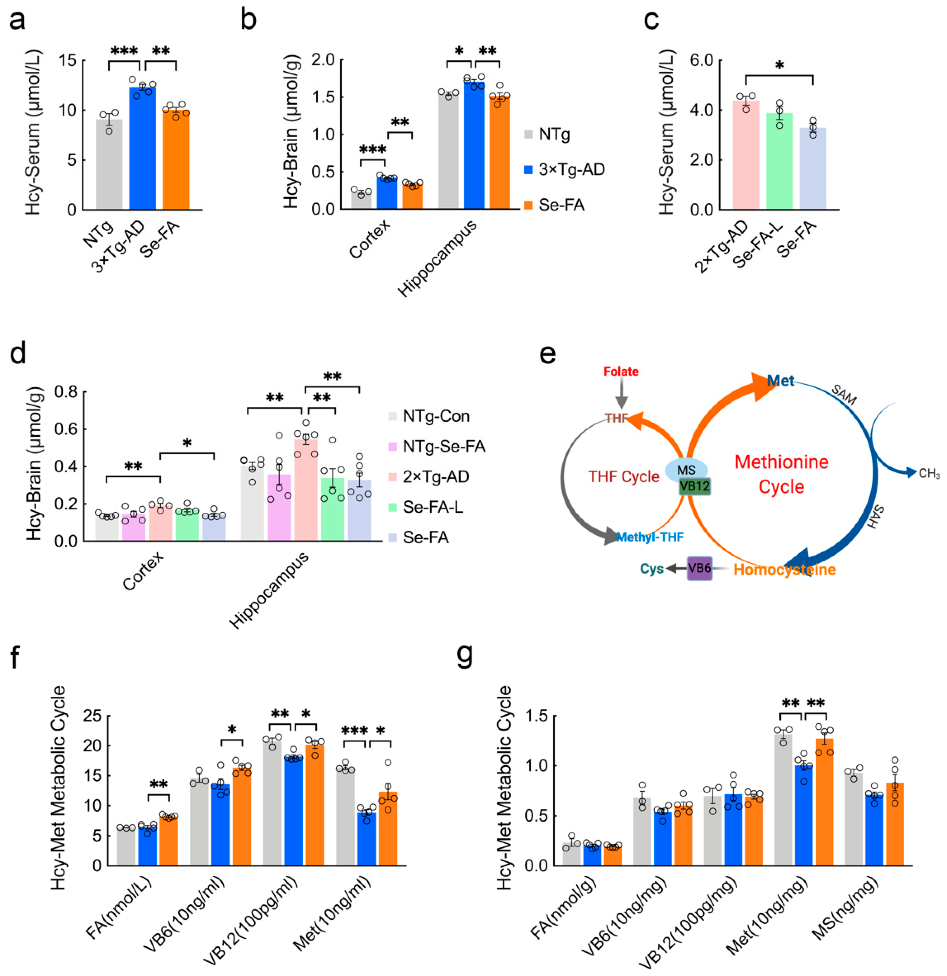 Antioxidants 11 00829 g001 Antioxidants 11 00829 g001