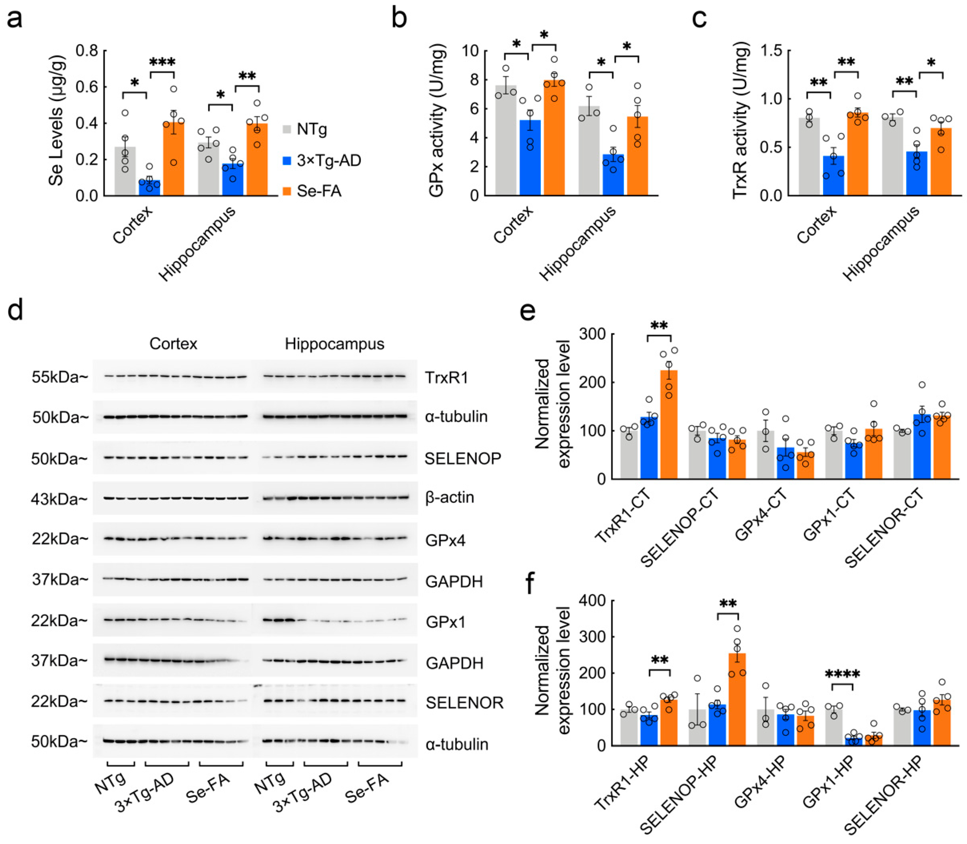 Antioxidants 11 00829 g002 Antioxidants 11 00829 g002