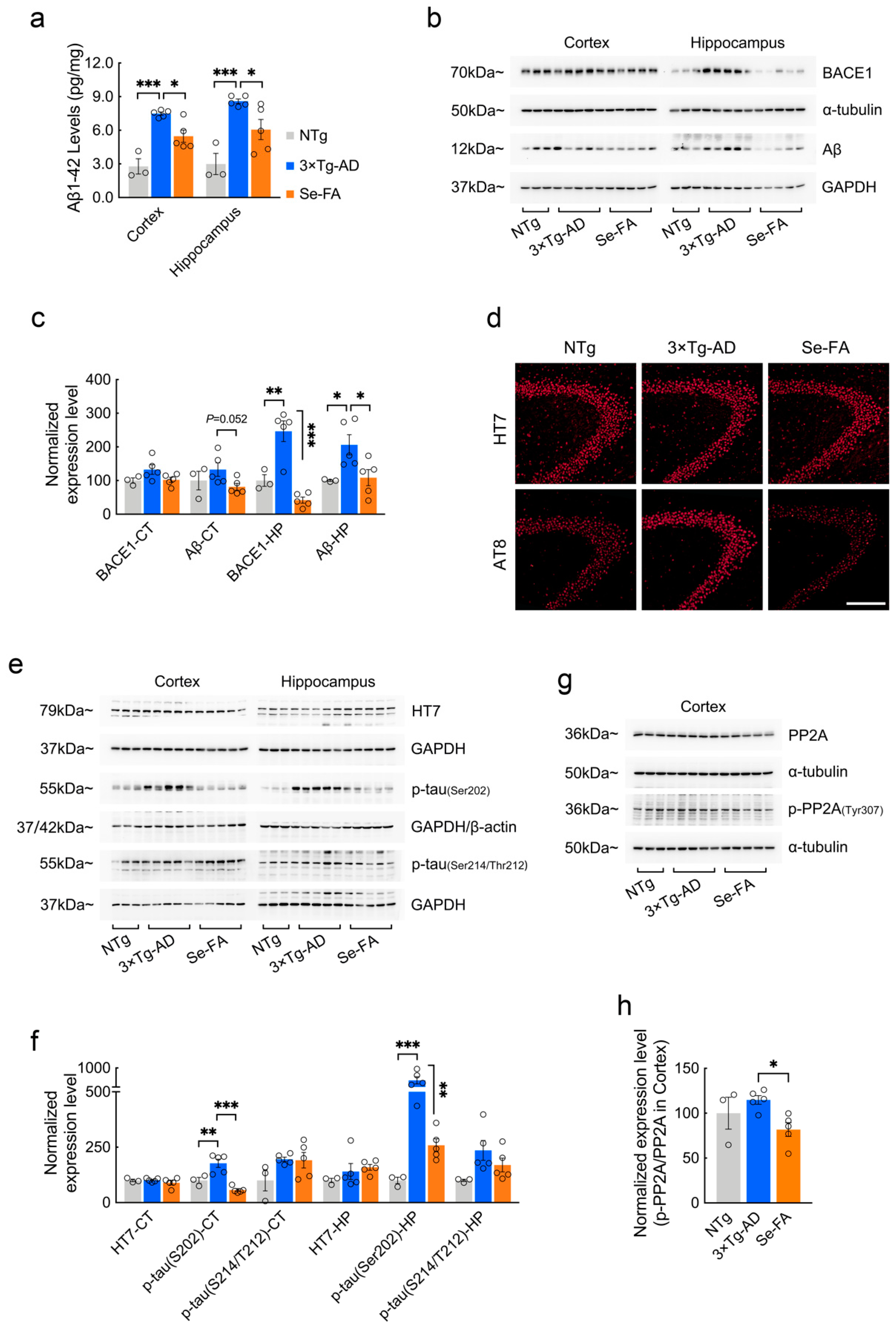 Antioxidants 11 00829 g005 Antioxidants 11 00829 g005