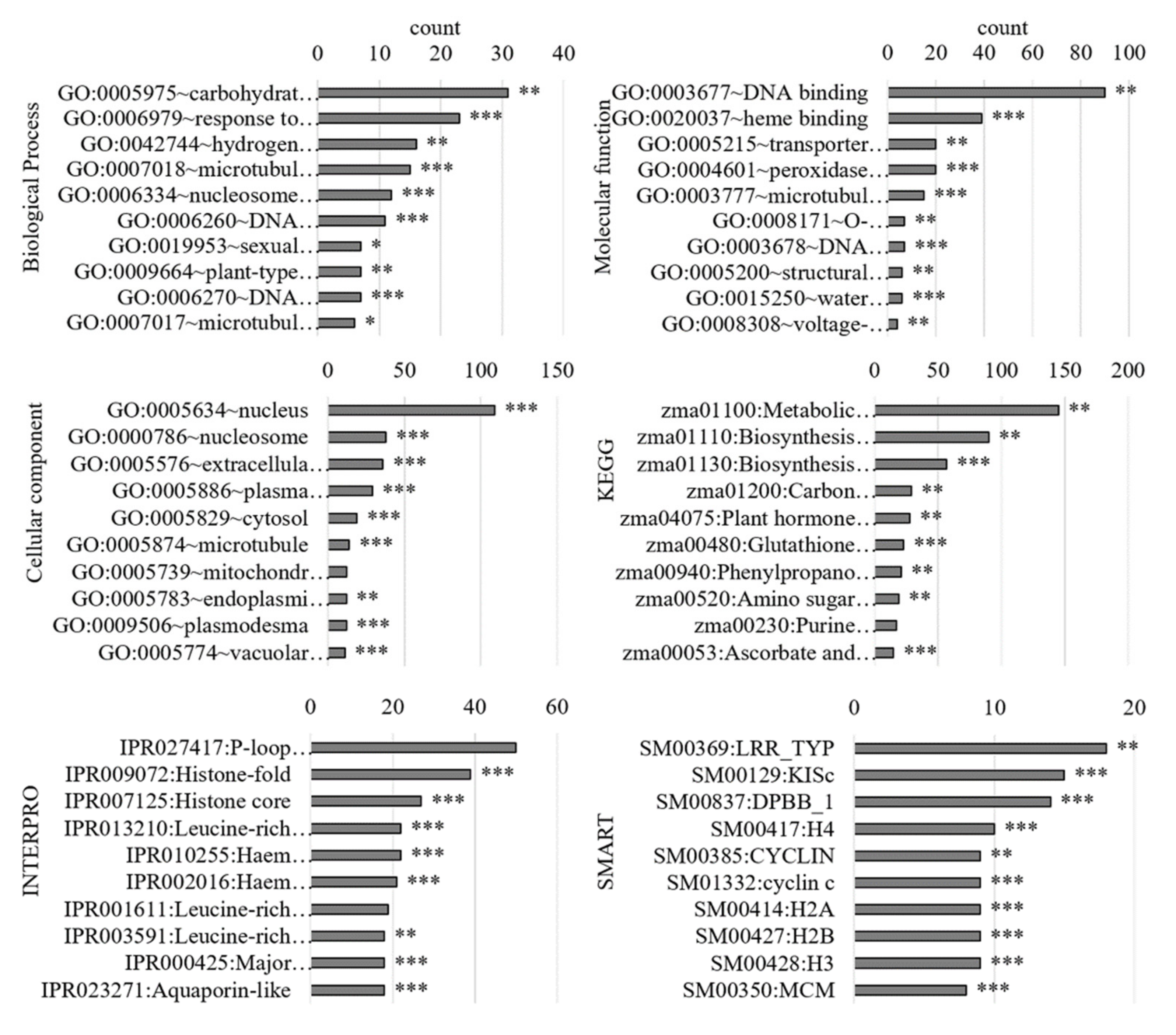 Antioxidants 11 00836 g004