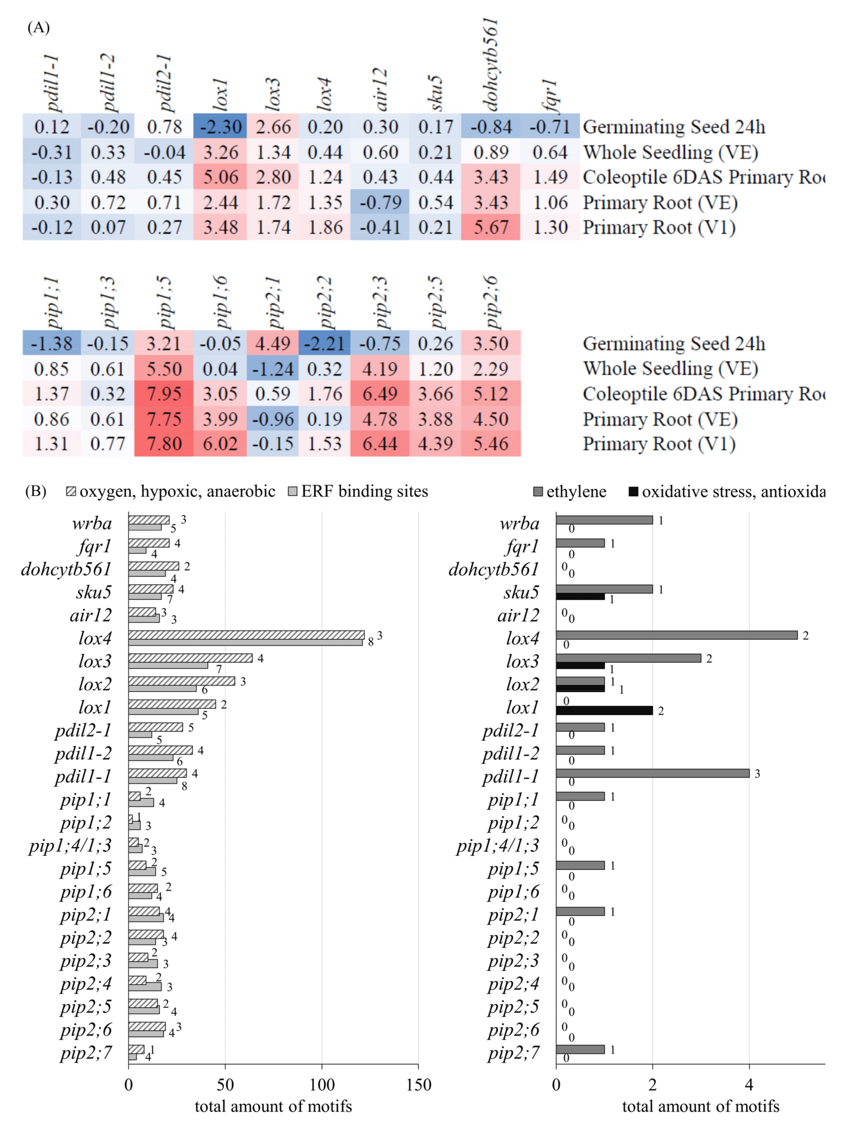 Antioxidants 11 00836 g005
