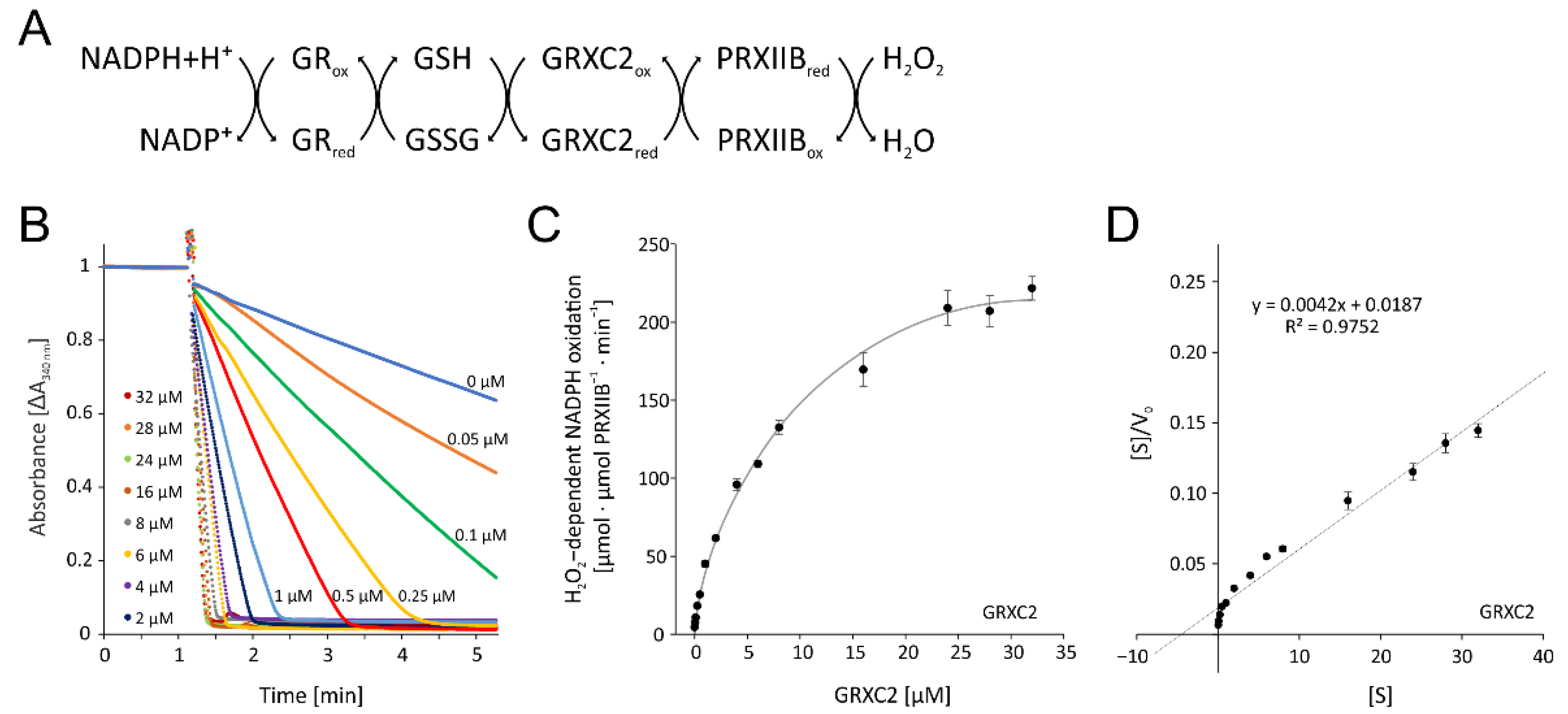 Antioxidants 11 00855 g008