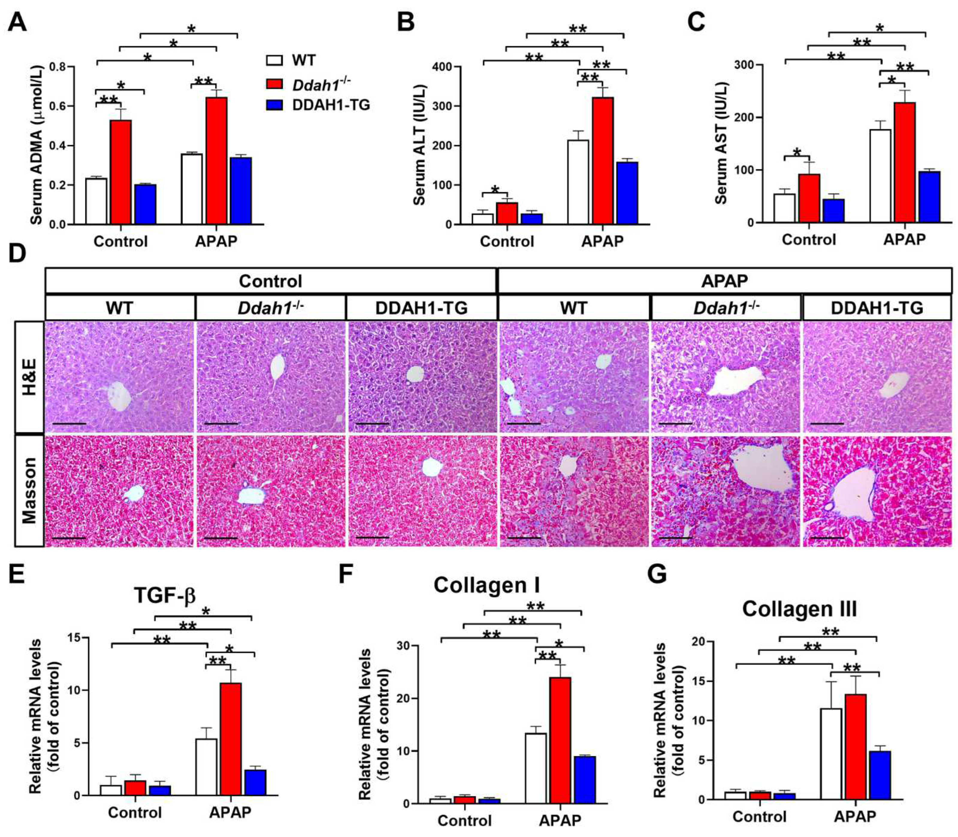 Antioxidants 11 00880 g001