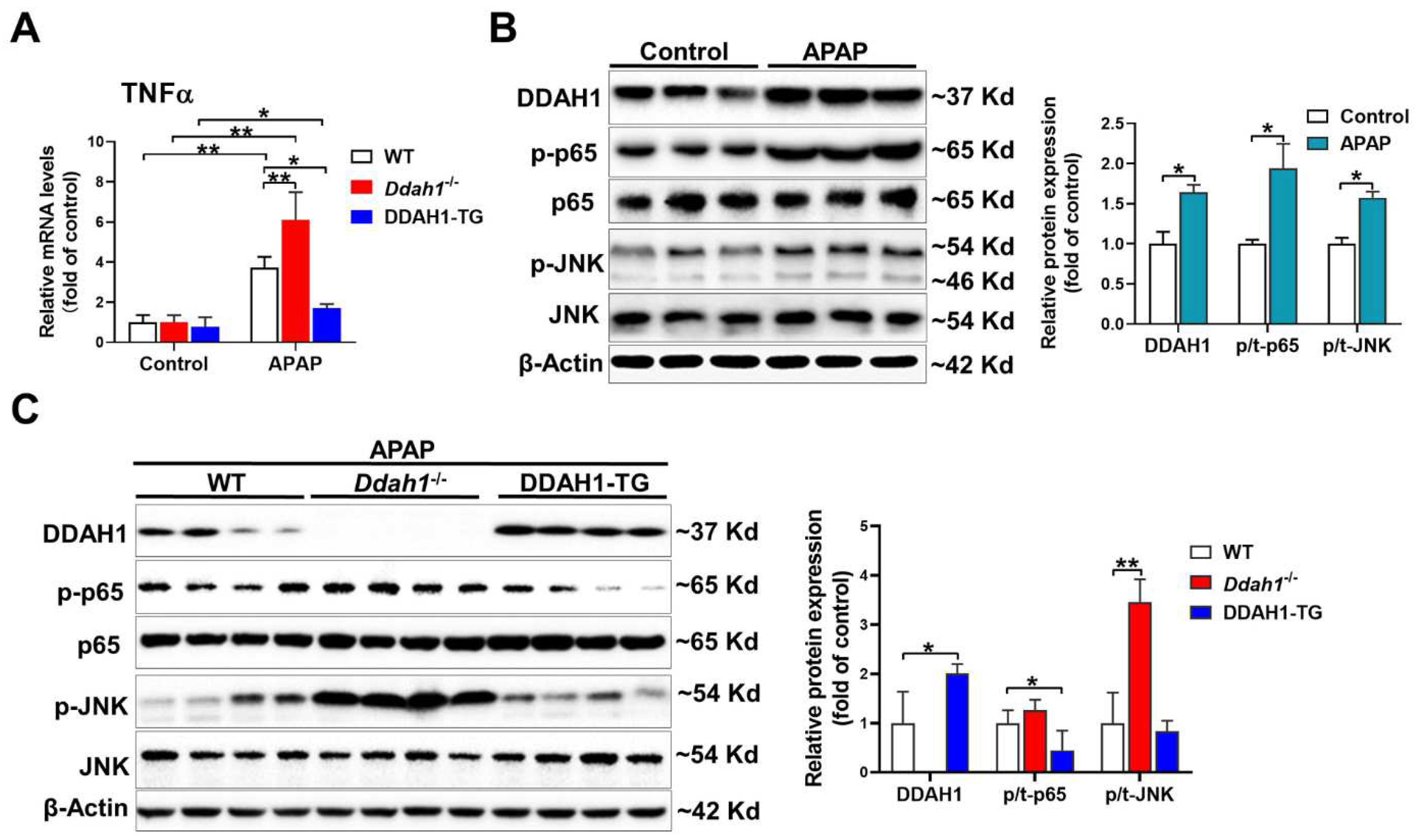 Antioxidants 11 00880 g003