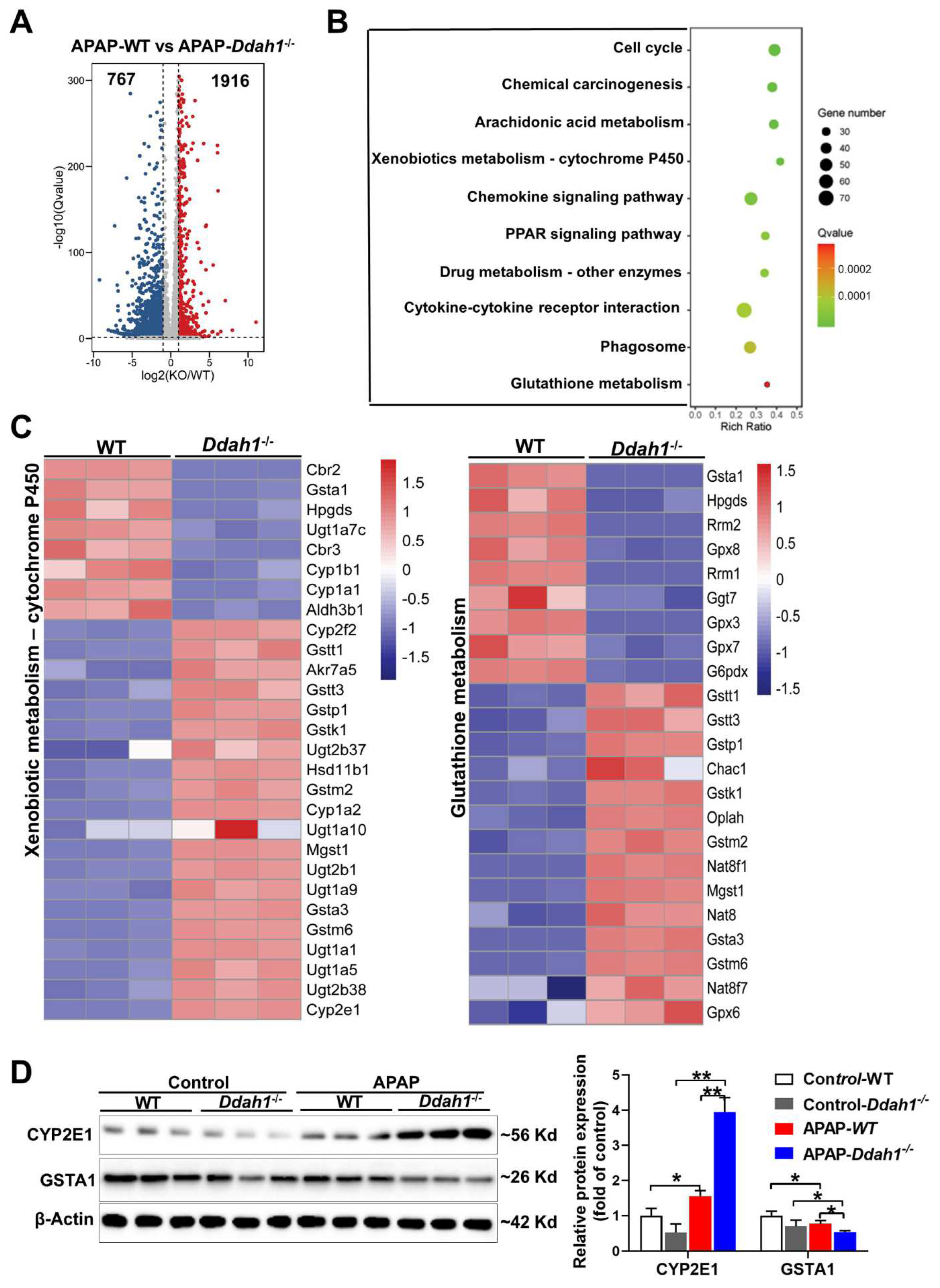 Antioxidants 11 00880 g004