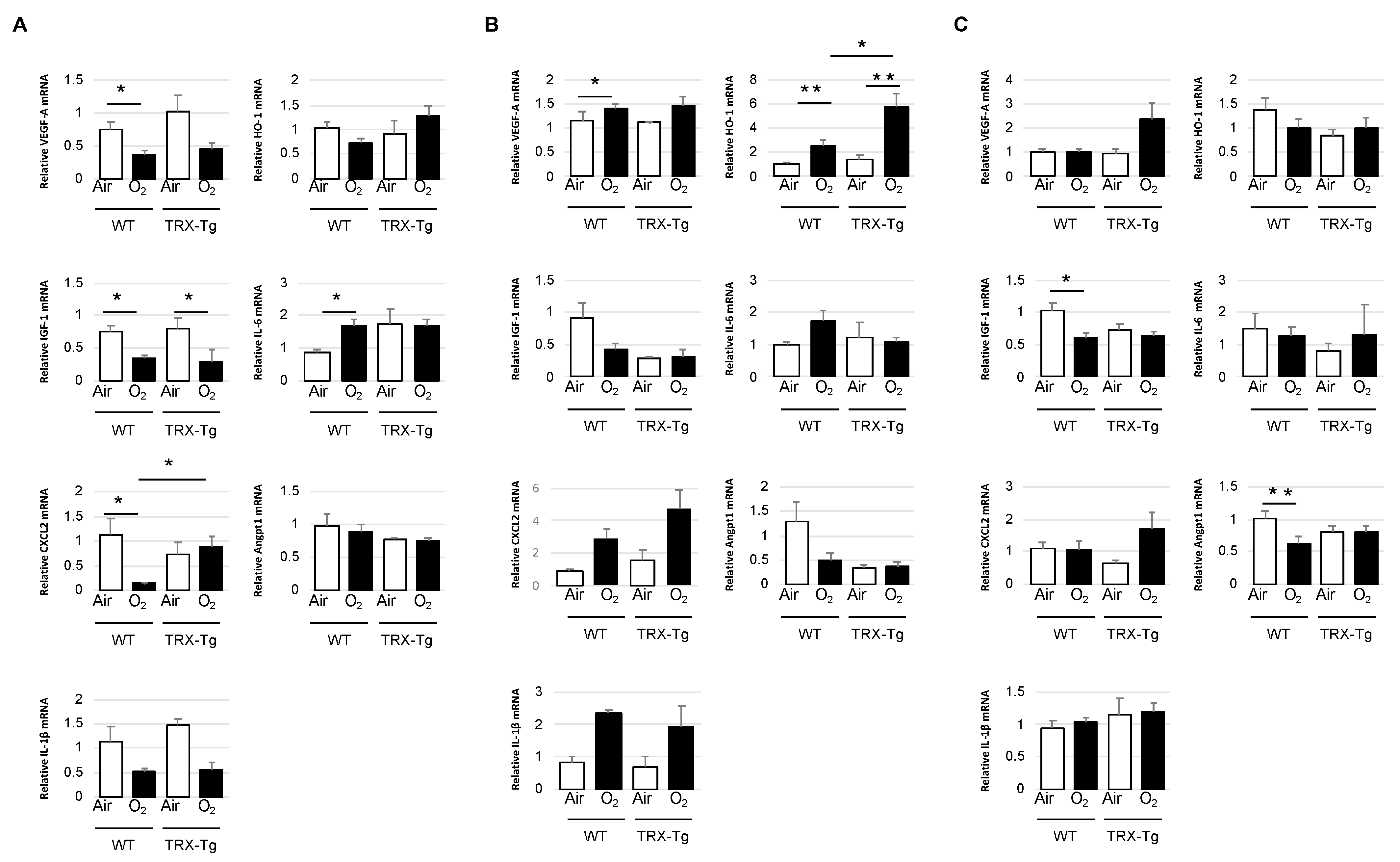 Antioxidants 11 00899 g005