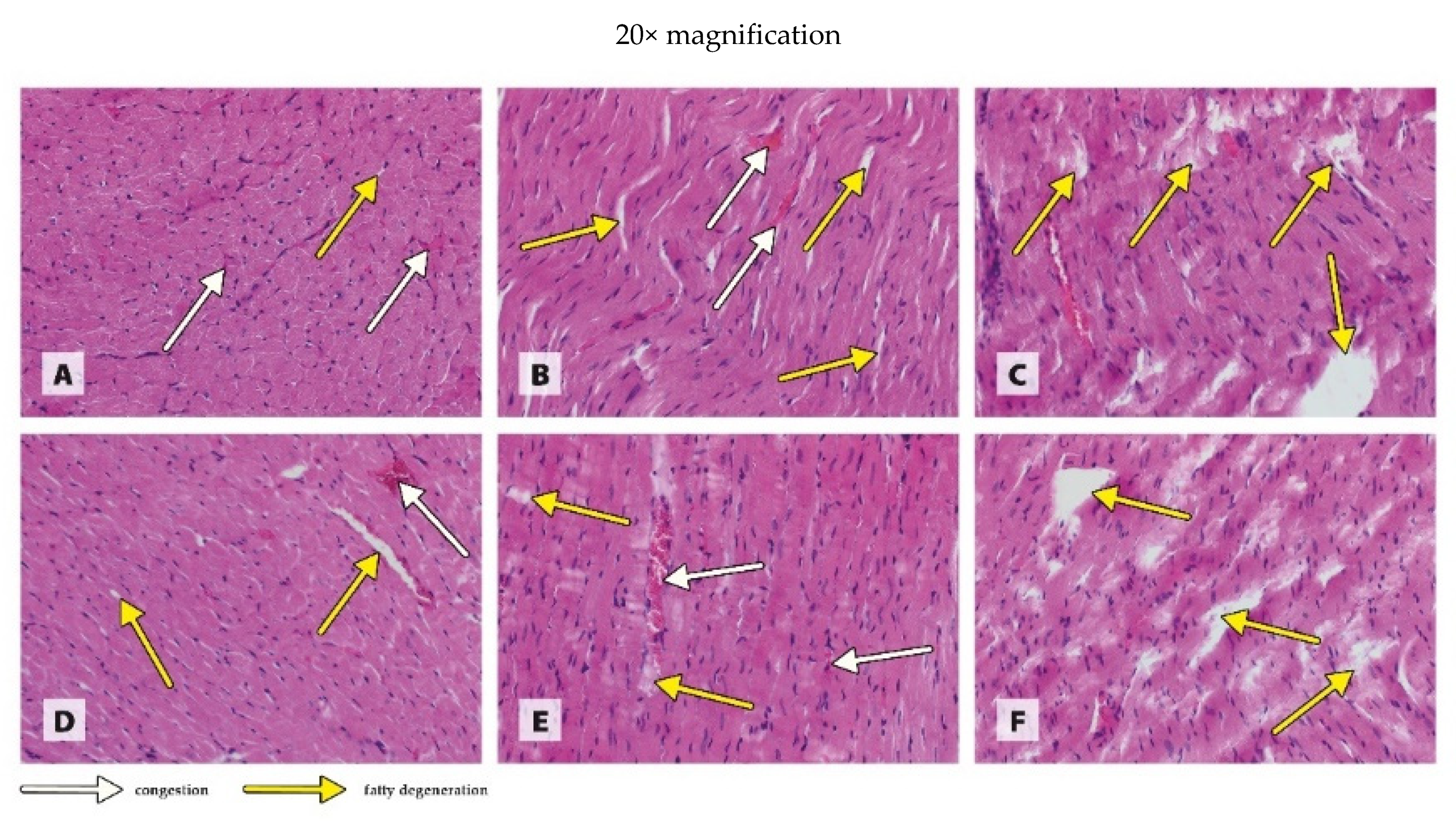 Antioxidants 11 00910 g001a