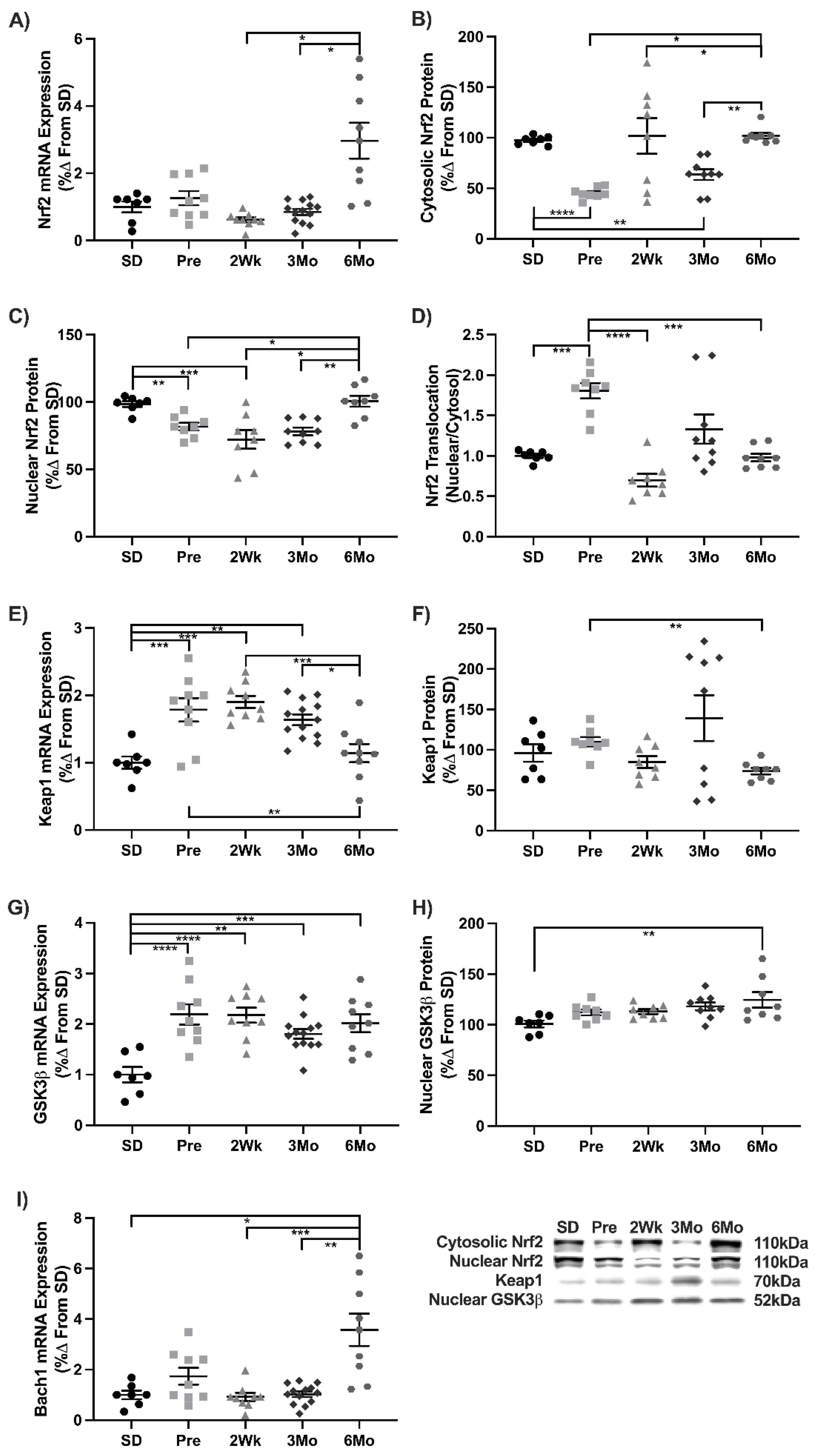 Antioxidants 11 00927 g003