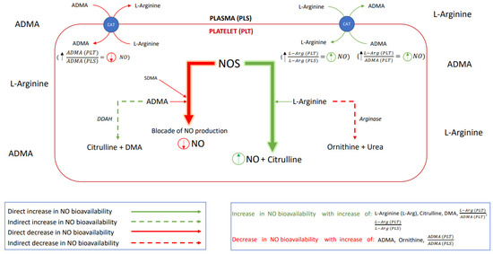 Antioxidants | Free Full-Text | Changes in the Plasma and Platelet Nitric  Oxide Biotransformation Metabolites during Ischemic Stroke&mdash;A Dynamic  Human LC/MS Metabolomic Study