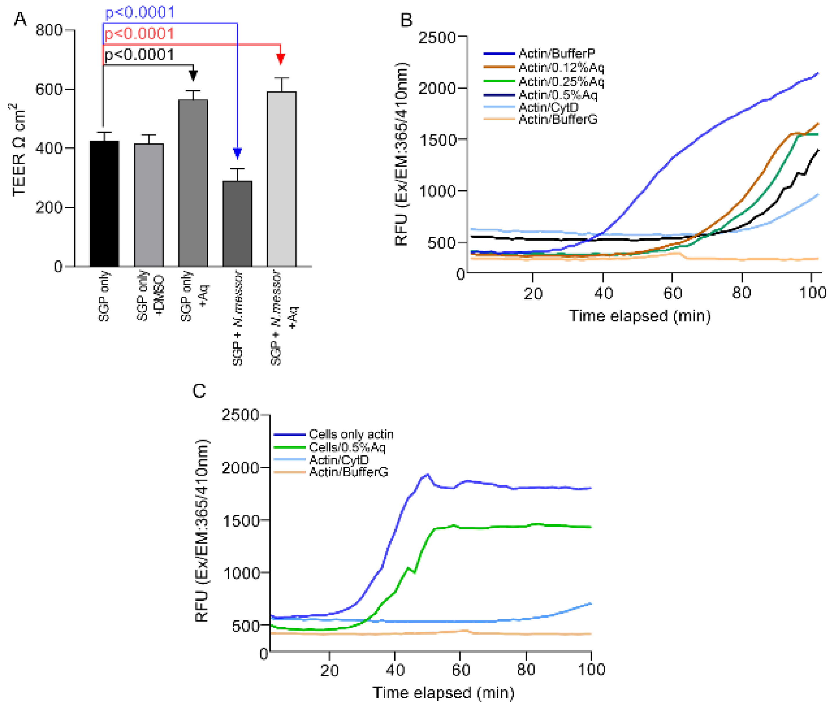 Antioxidants 11 00974 g003