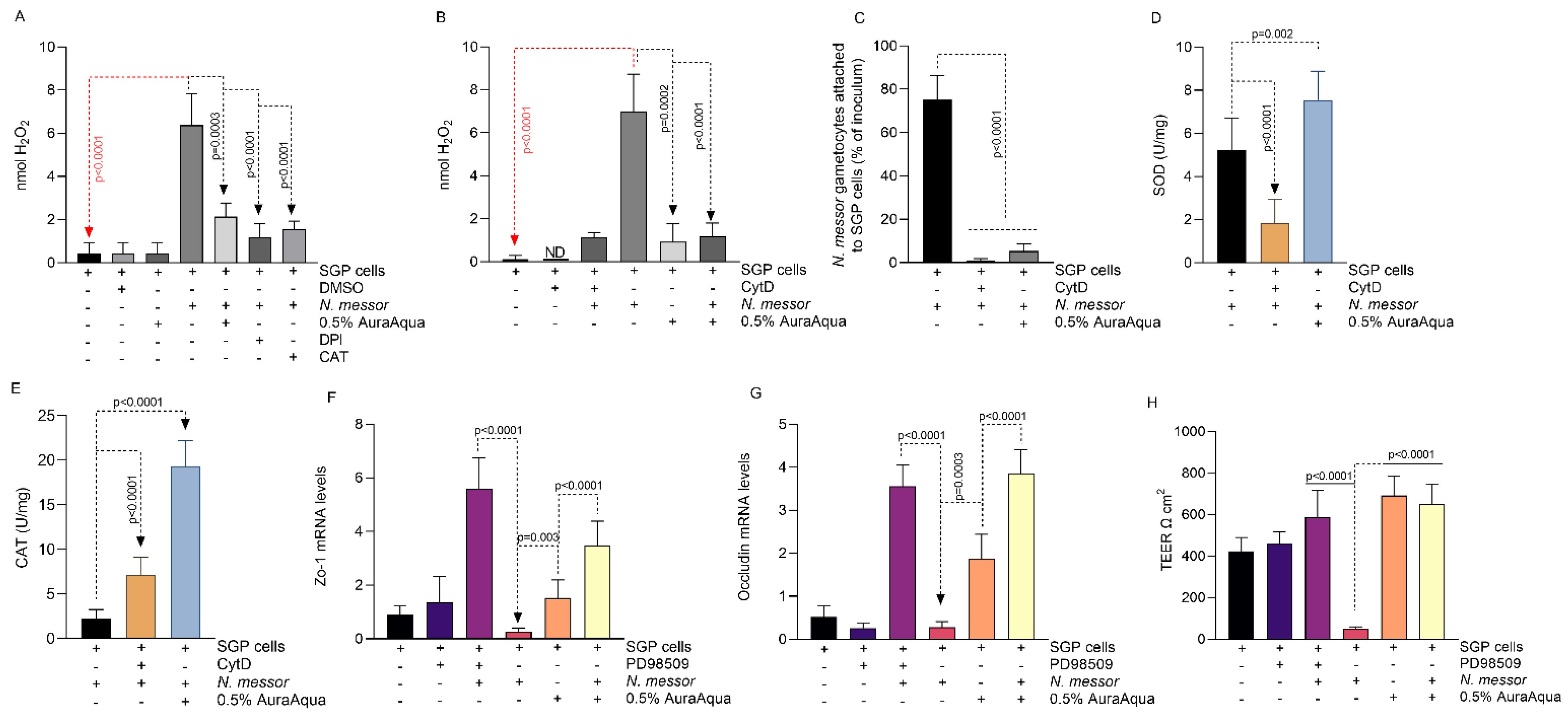 Antioxidants 11 00974 g004
