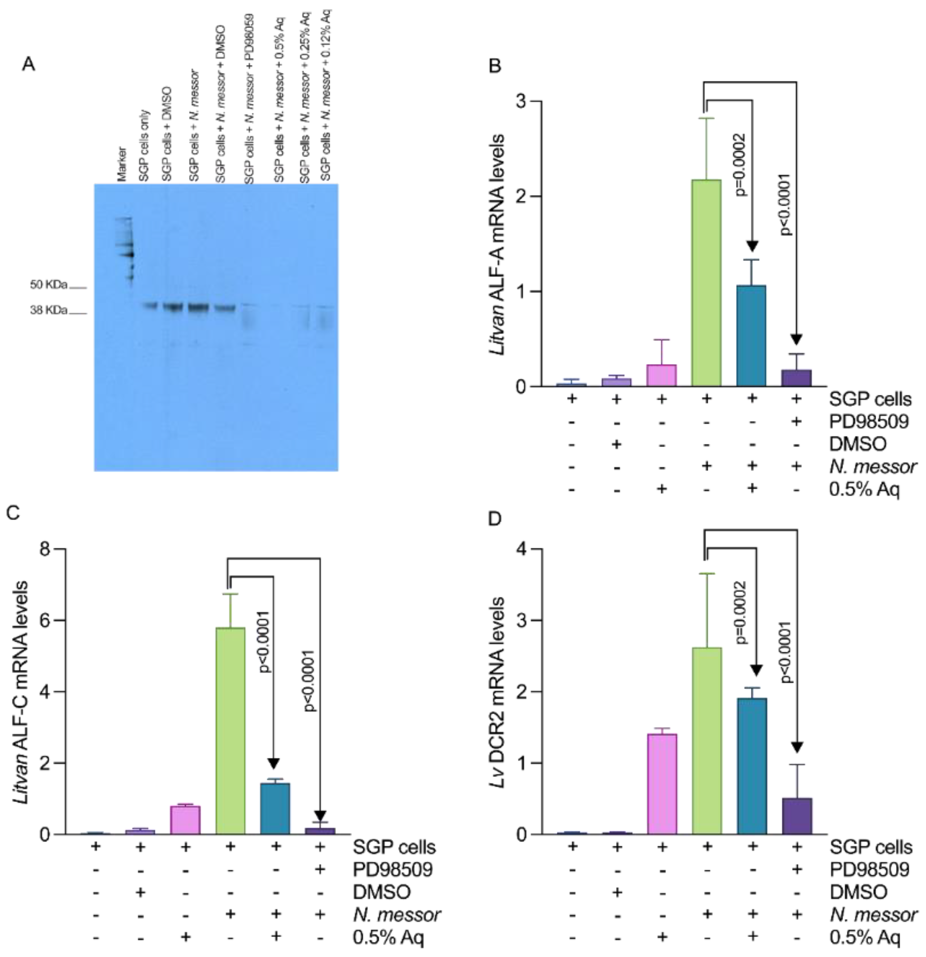 Antioxidants 11 00974 g005