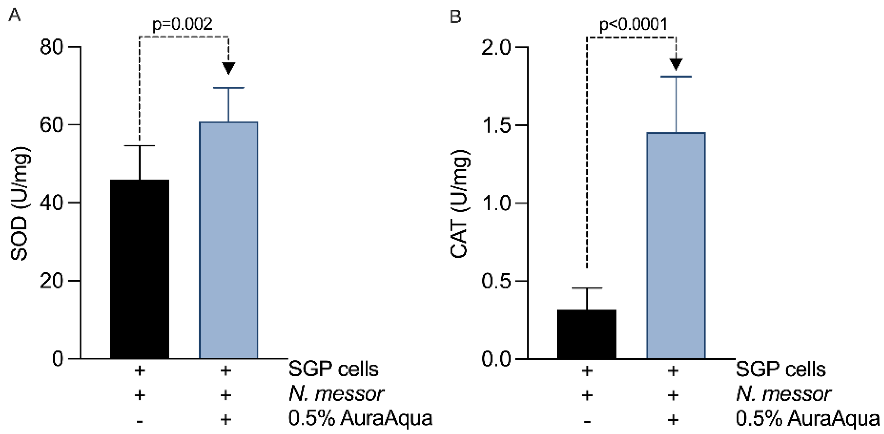 Antioxidants 11 00974 g006