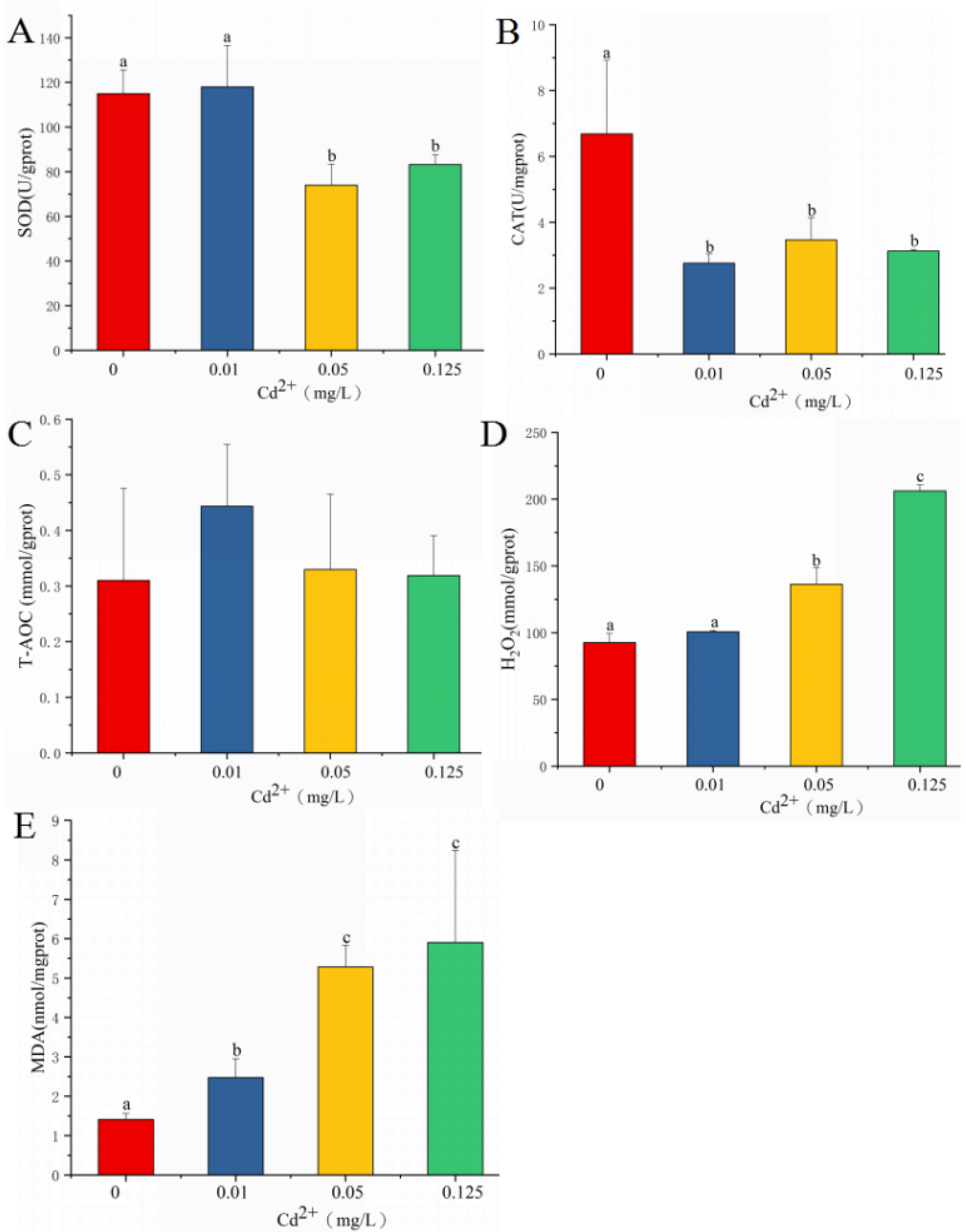 Antioxidants 11 00978 g001