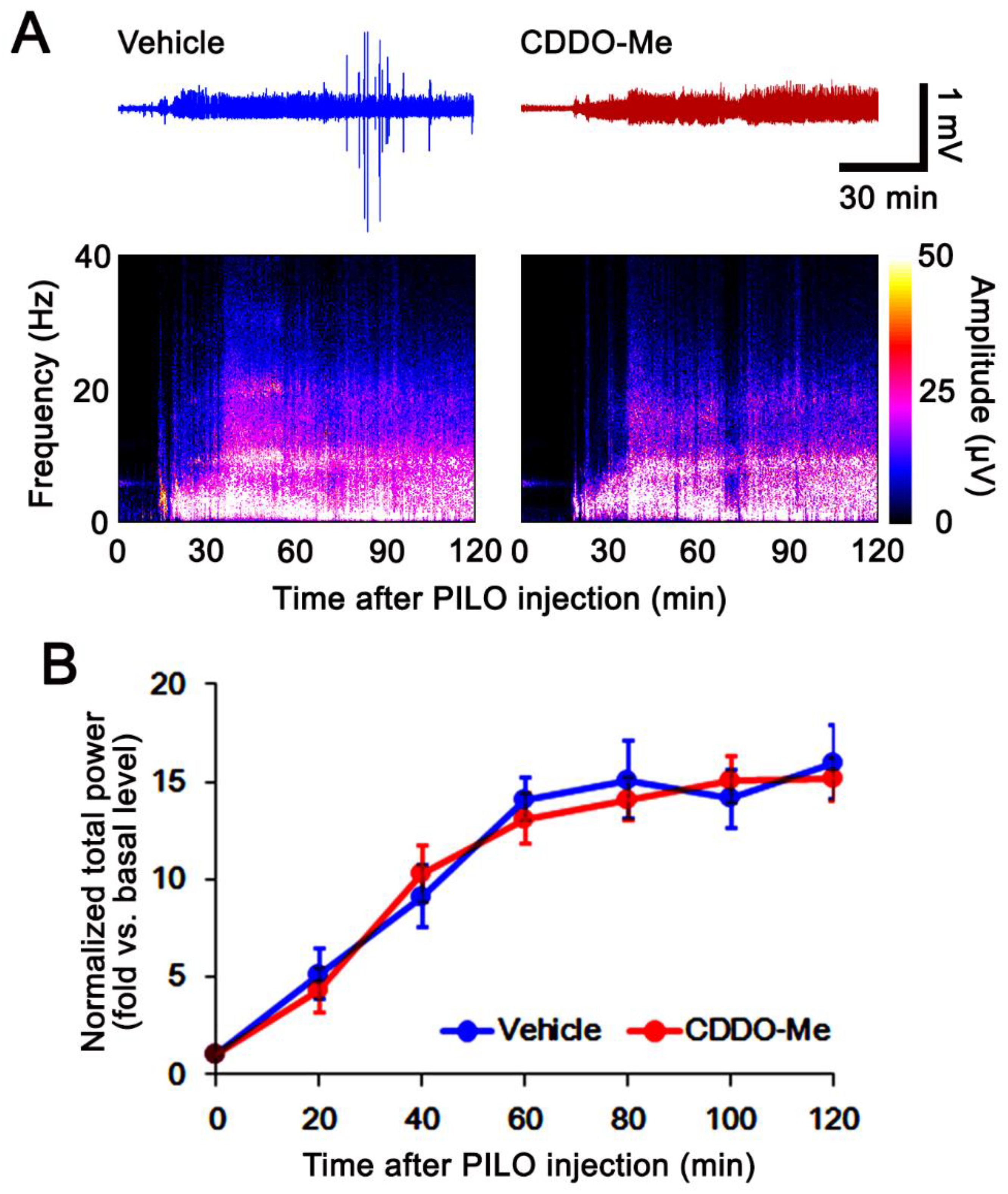 Antioxidants 11 00985 g001