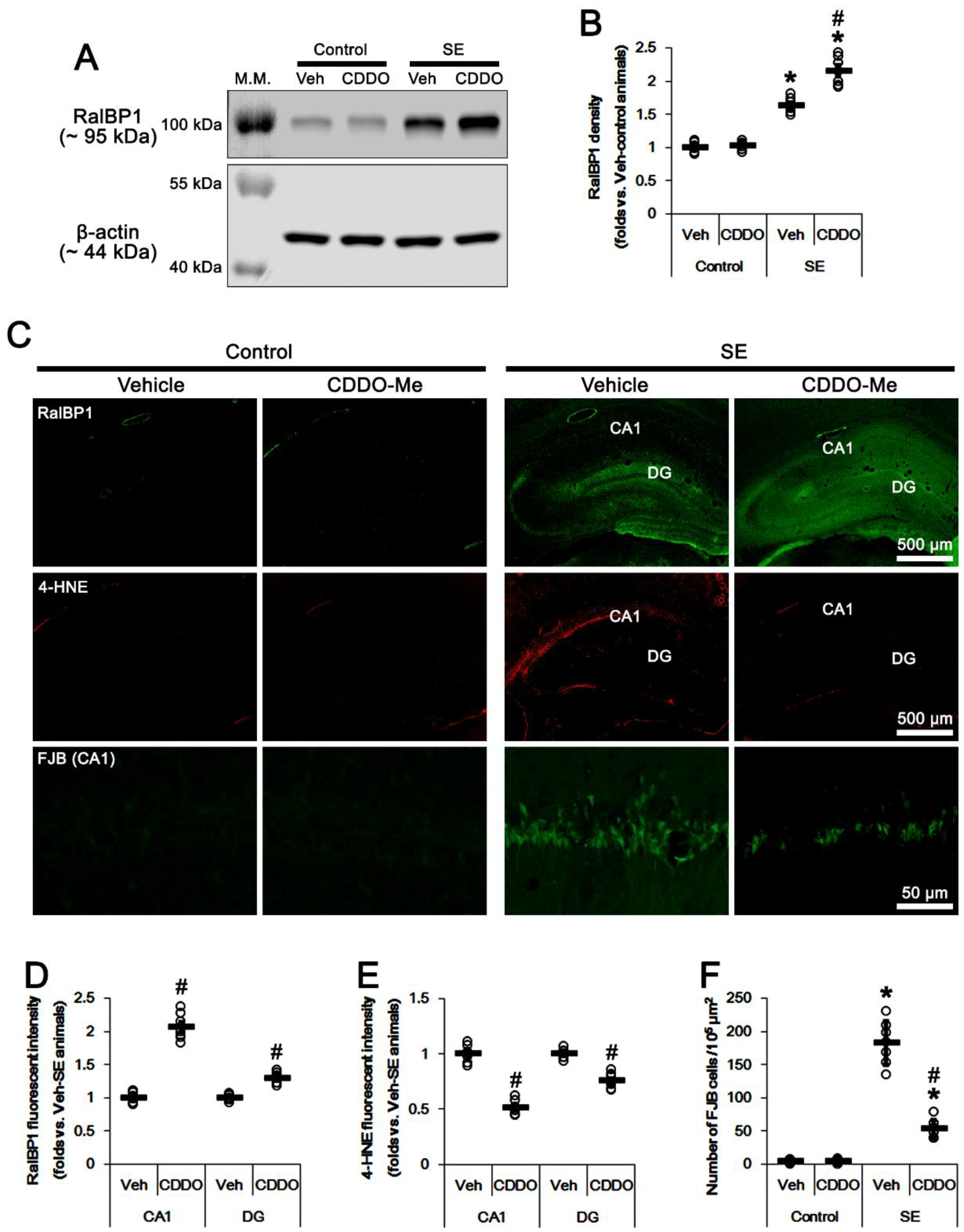 Antioxidants 11 00985 g002