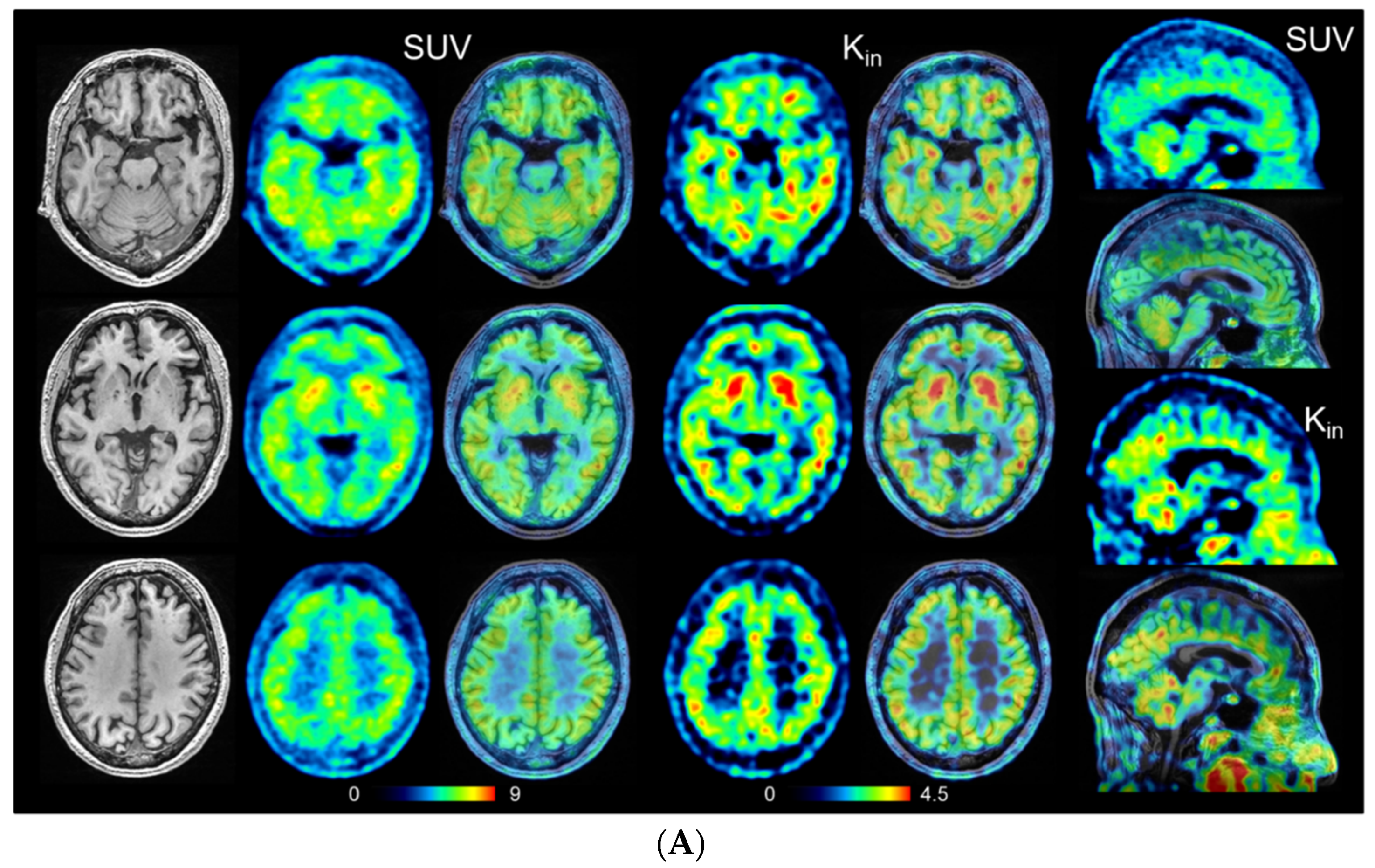 Antioxidants 11 01022 g003a