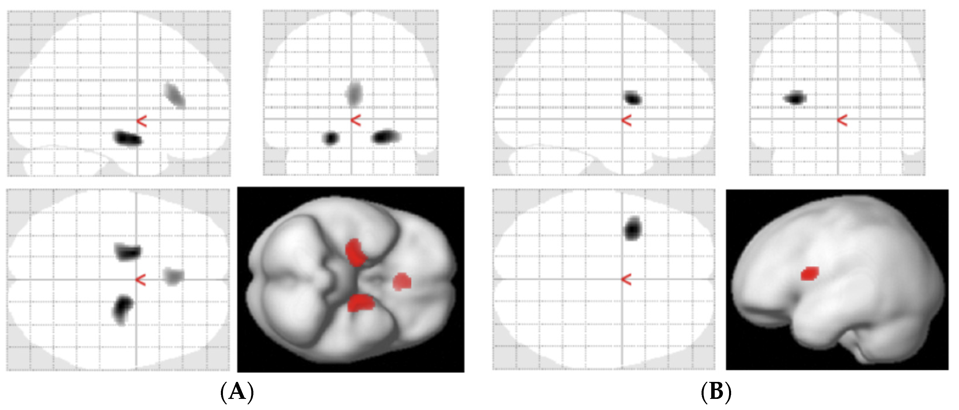 Antioxidants 11 01022 g006