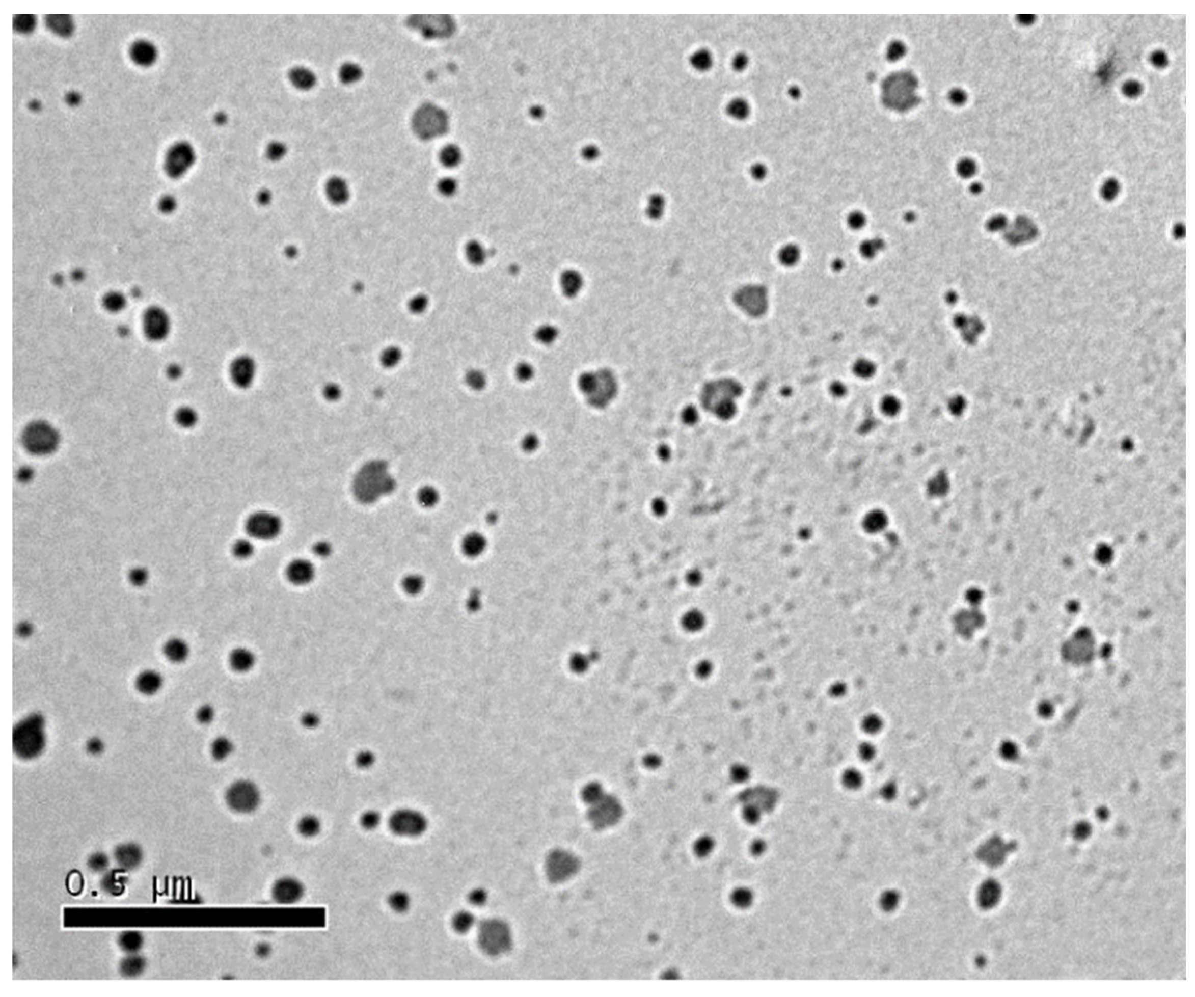 Antioxidants 11 01023 g004