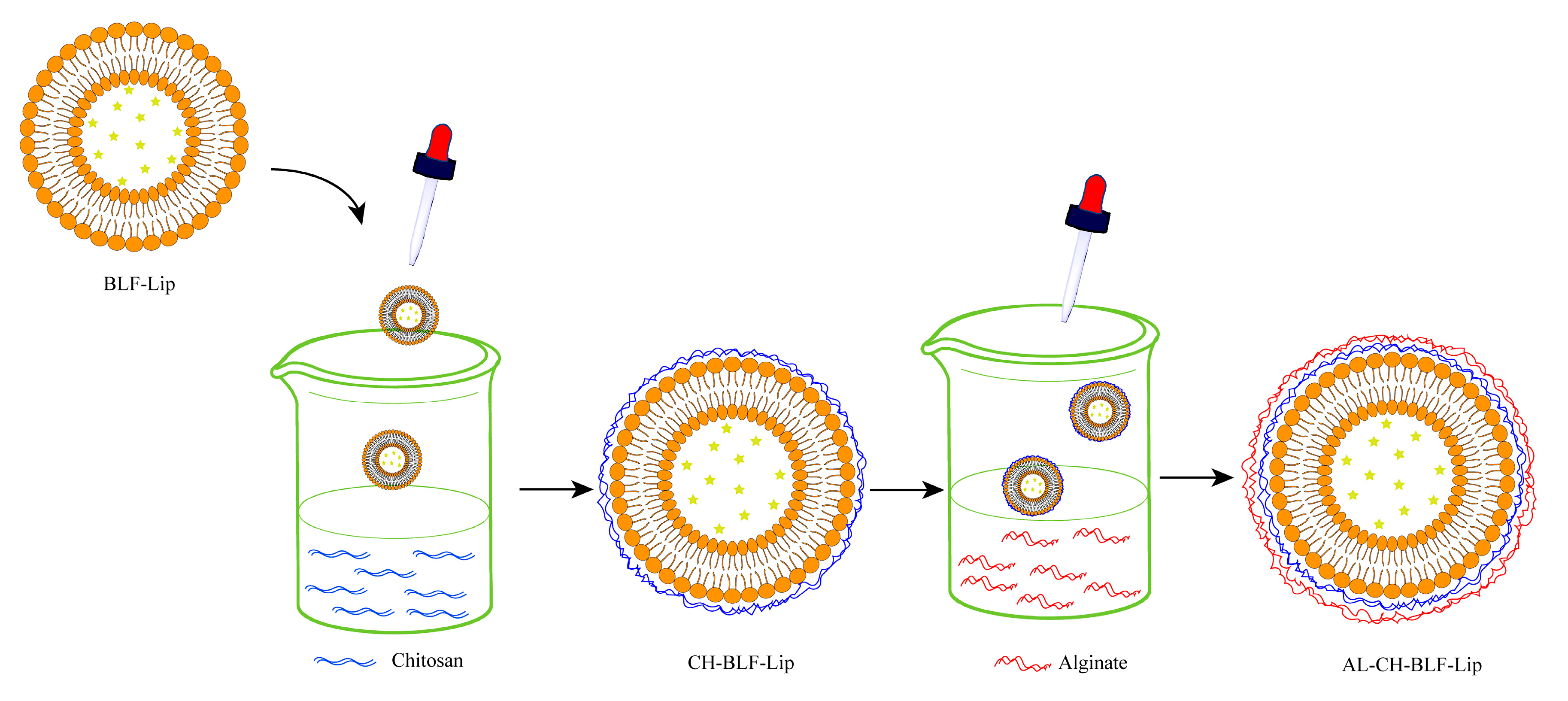 Antioxidants 11 01024 g003