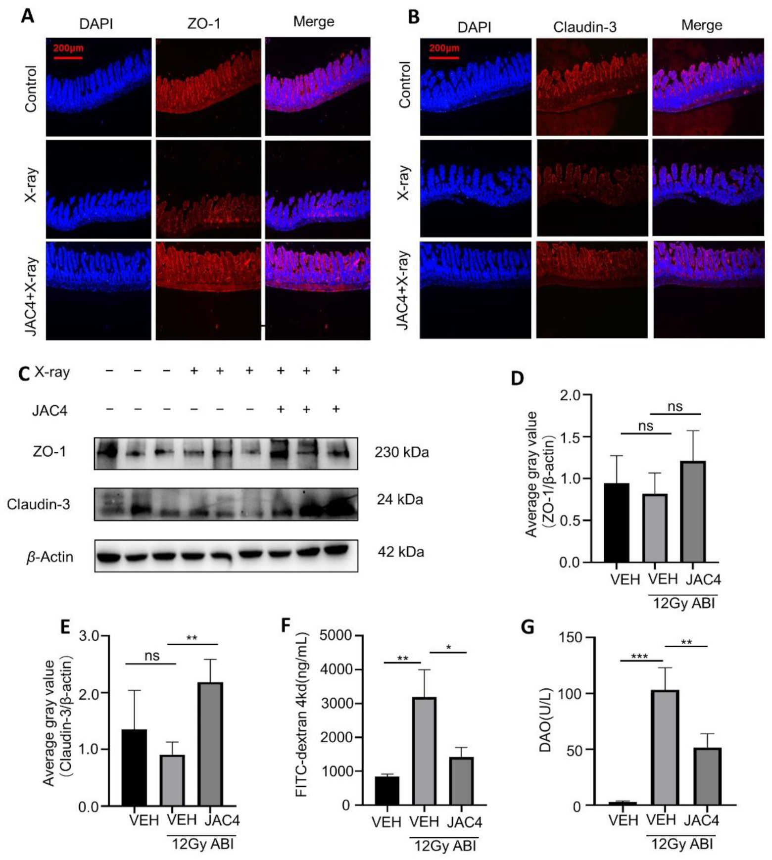 Antioxidants 11 01067 g002