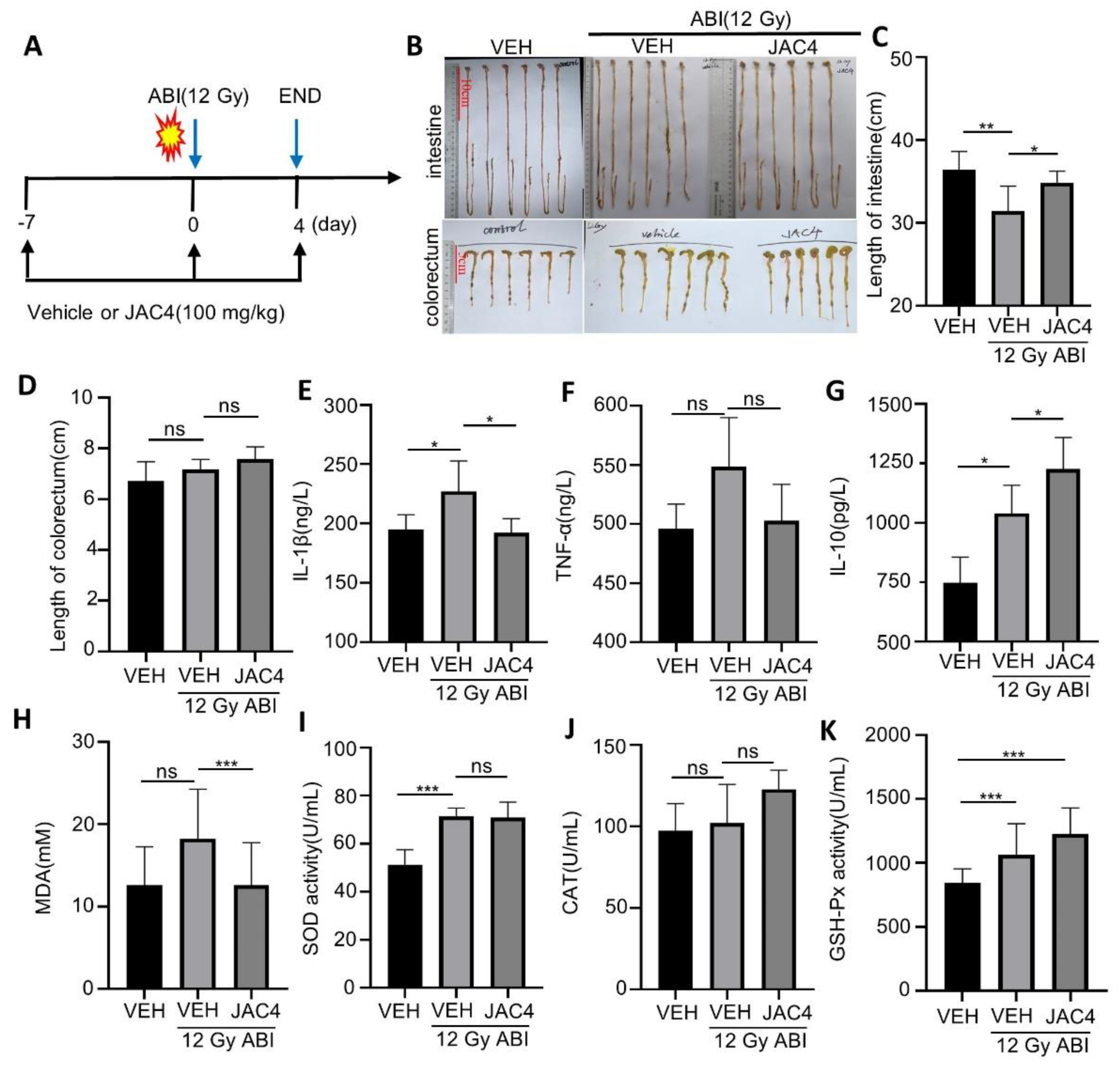 Antioxidants 11 01067 g003