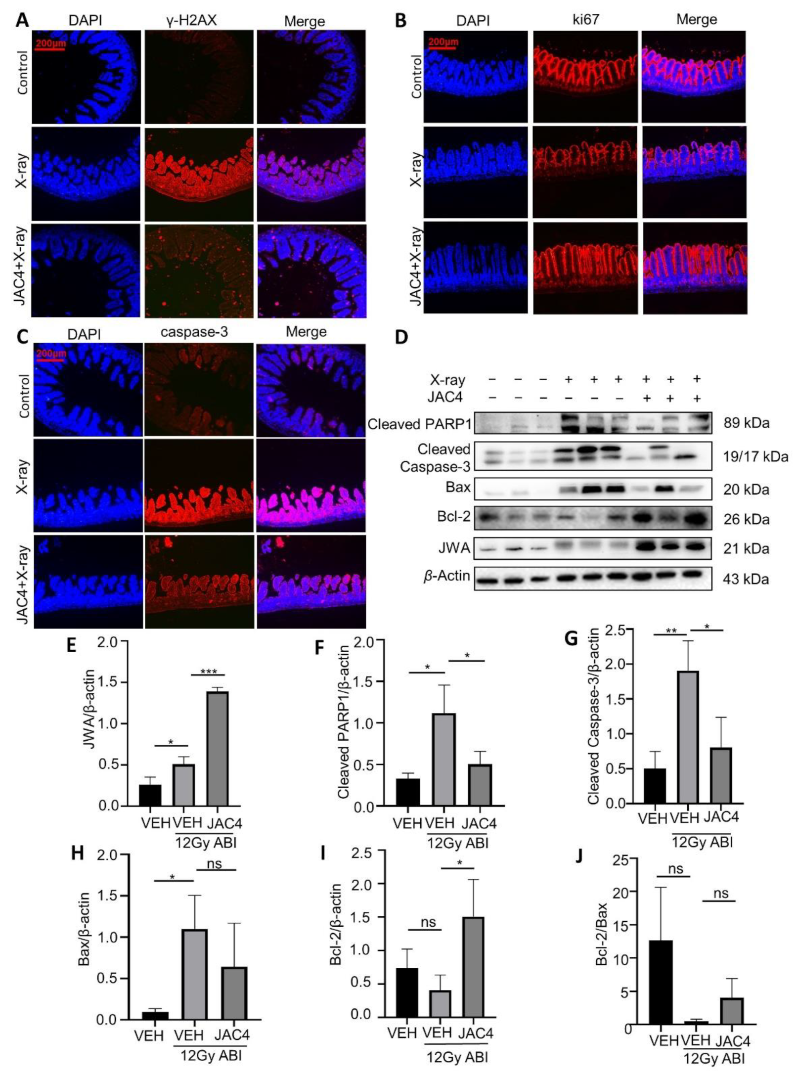 Antioxidants 11 01067 g004