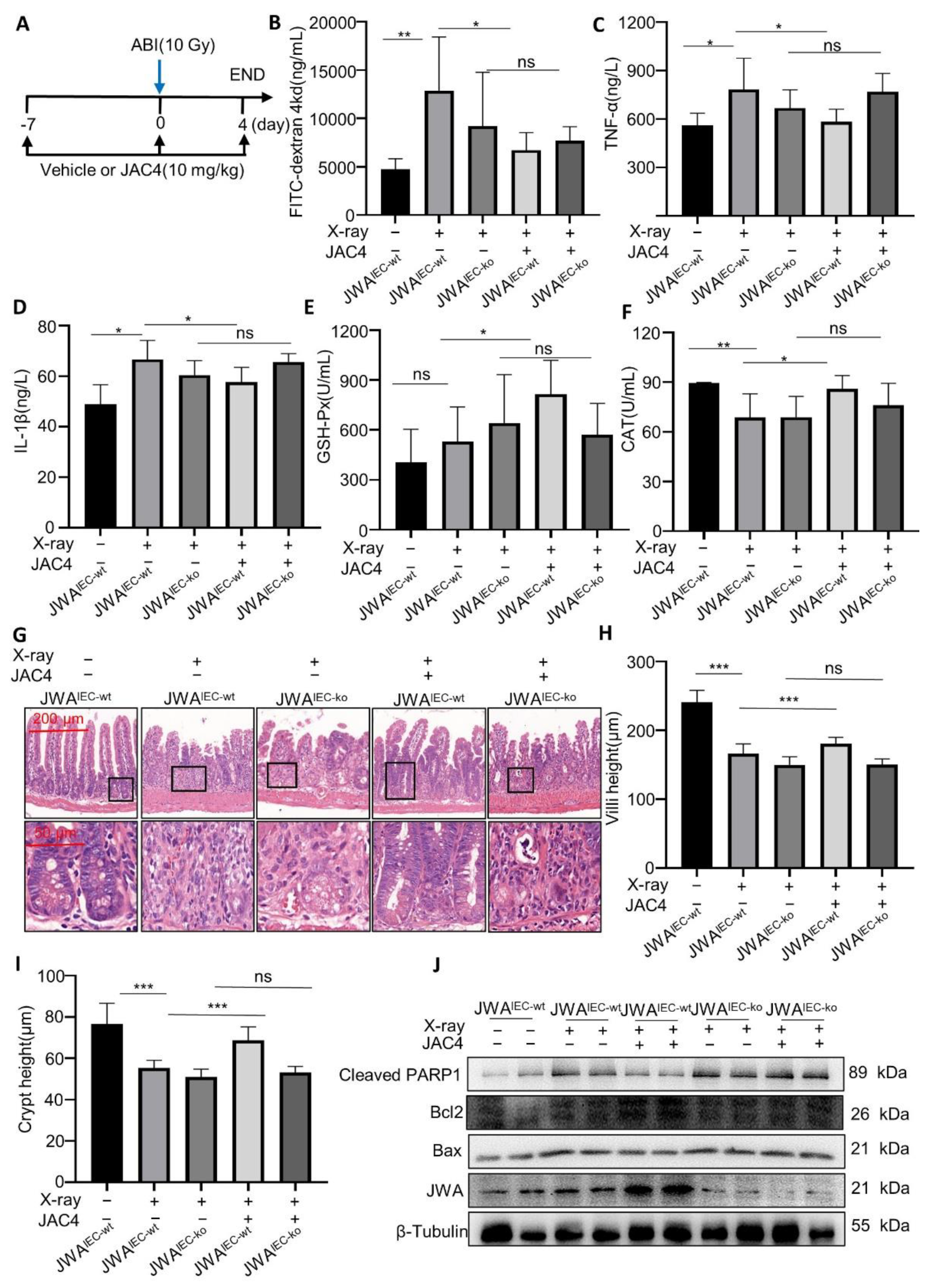 Antioxidants 11 01067 g006