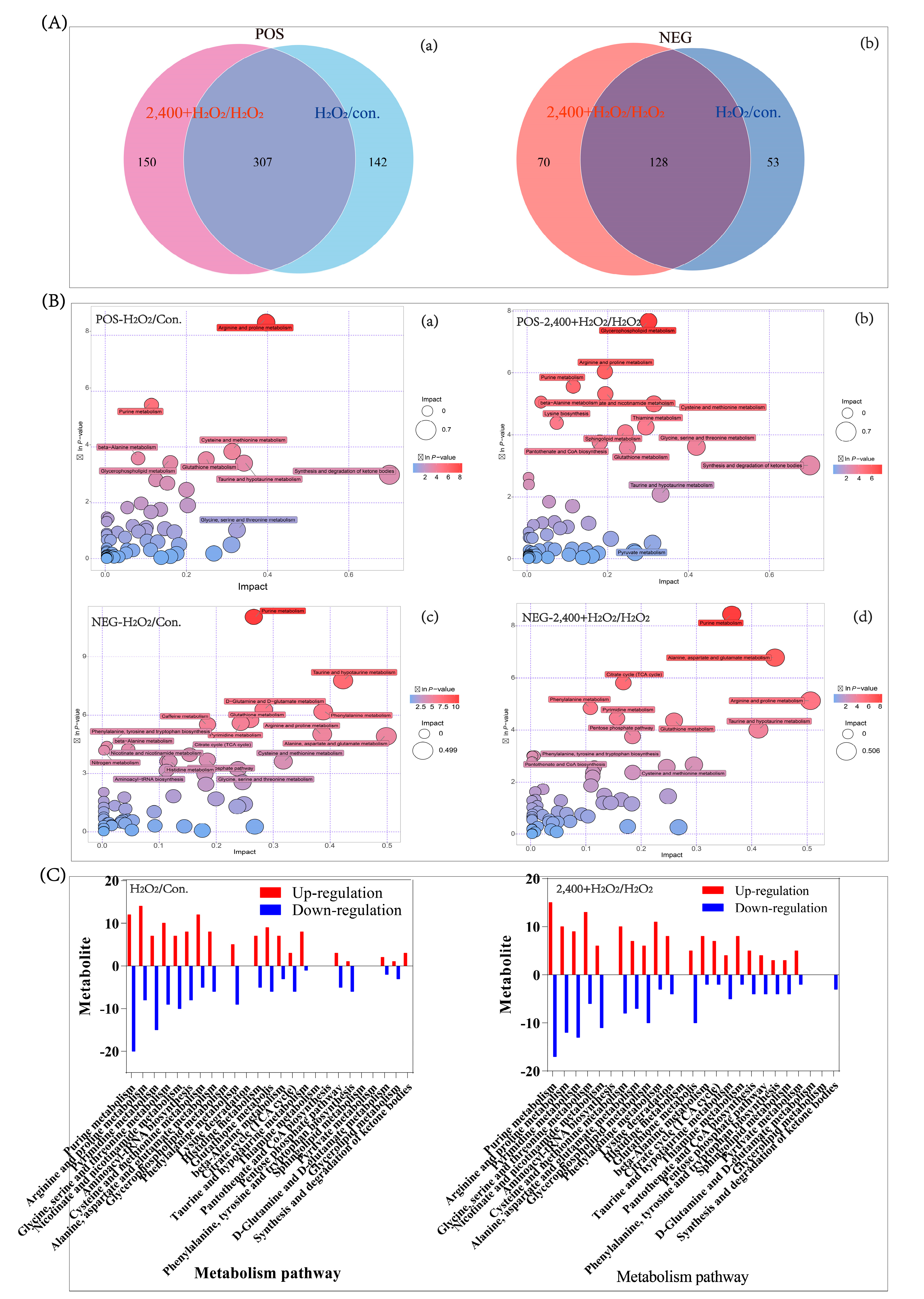 Antioxidants 11 01068 g006