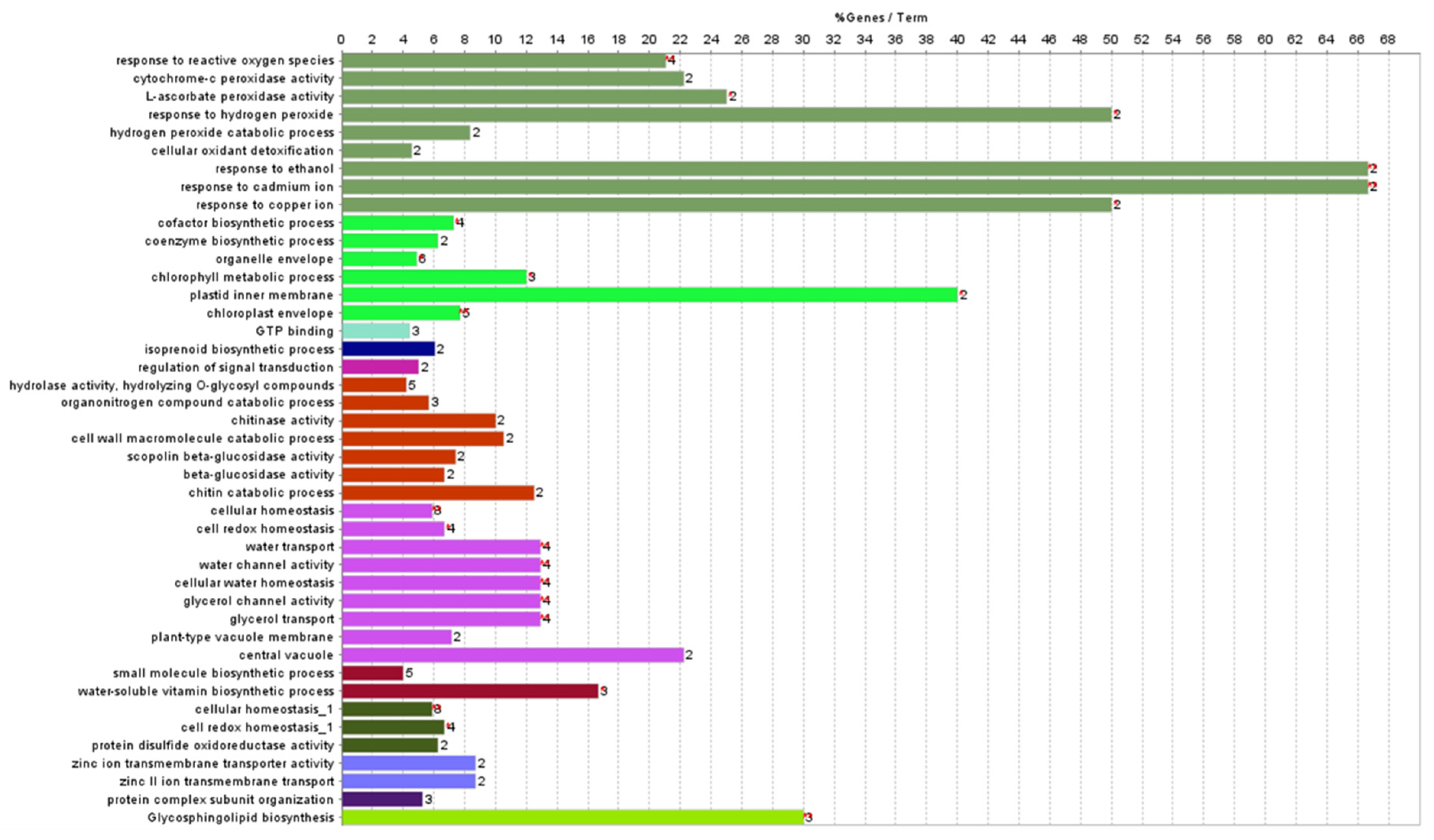 Antioxidants 11 01077 g006