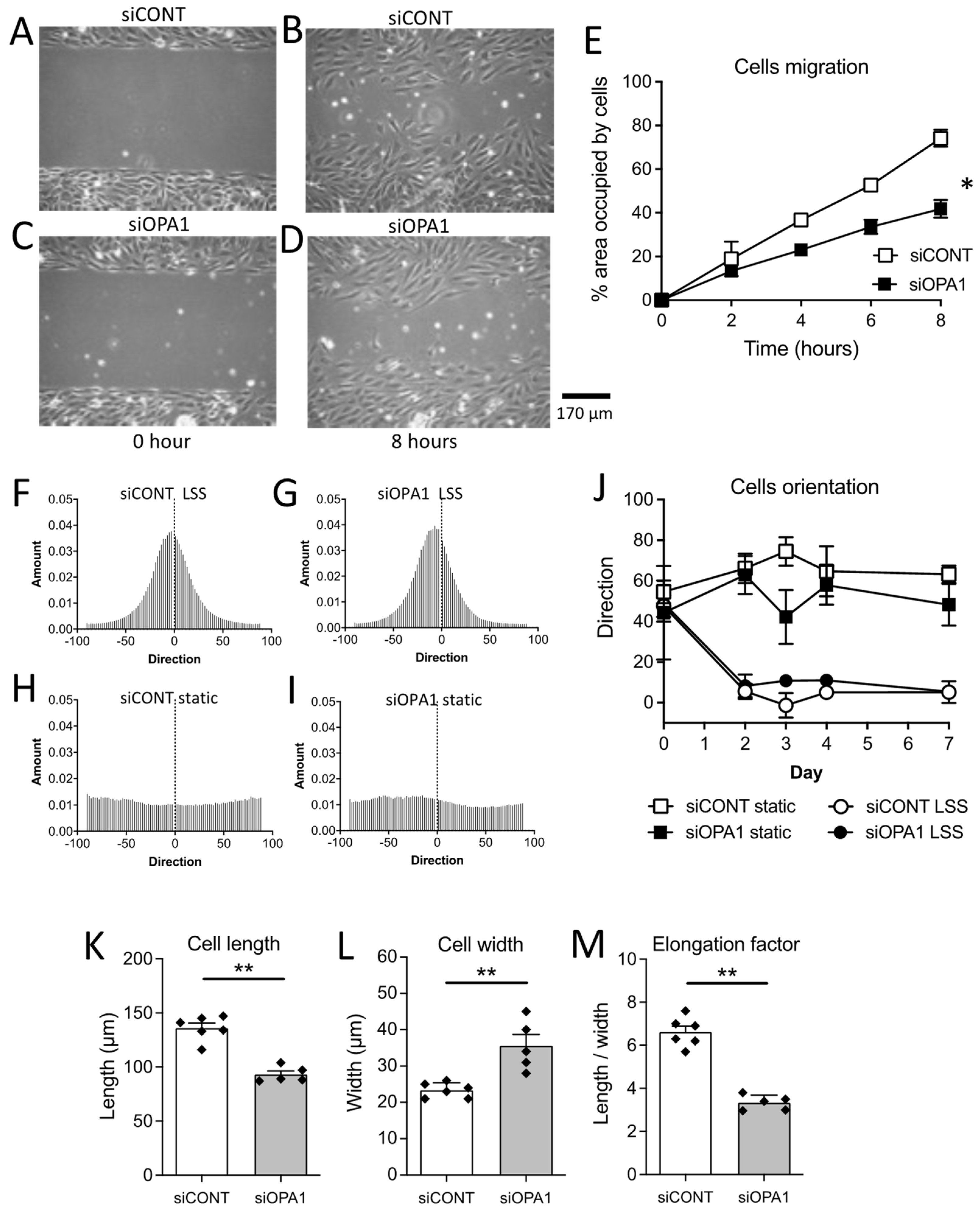 Antioxidants 11 01078 g001