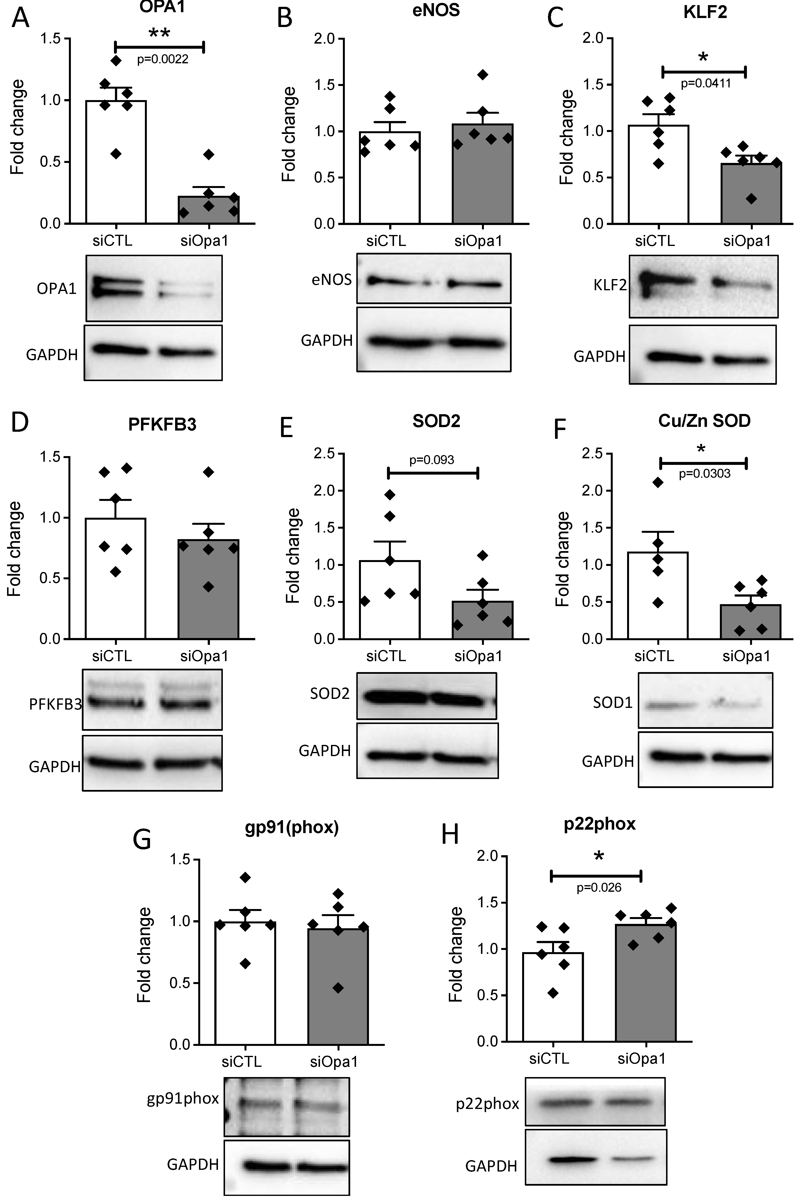 Antioxidants 11 01078 g002