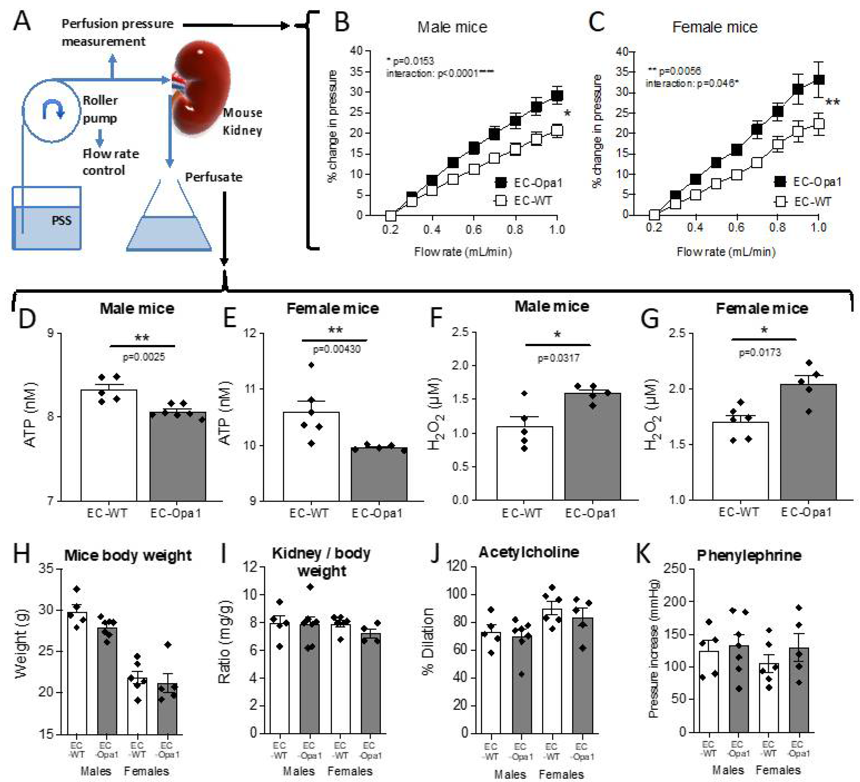 Antioxidants 11 01078 g006